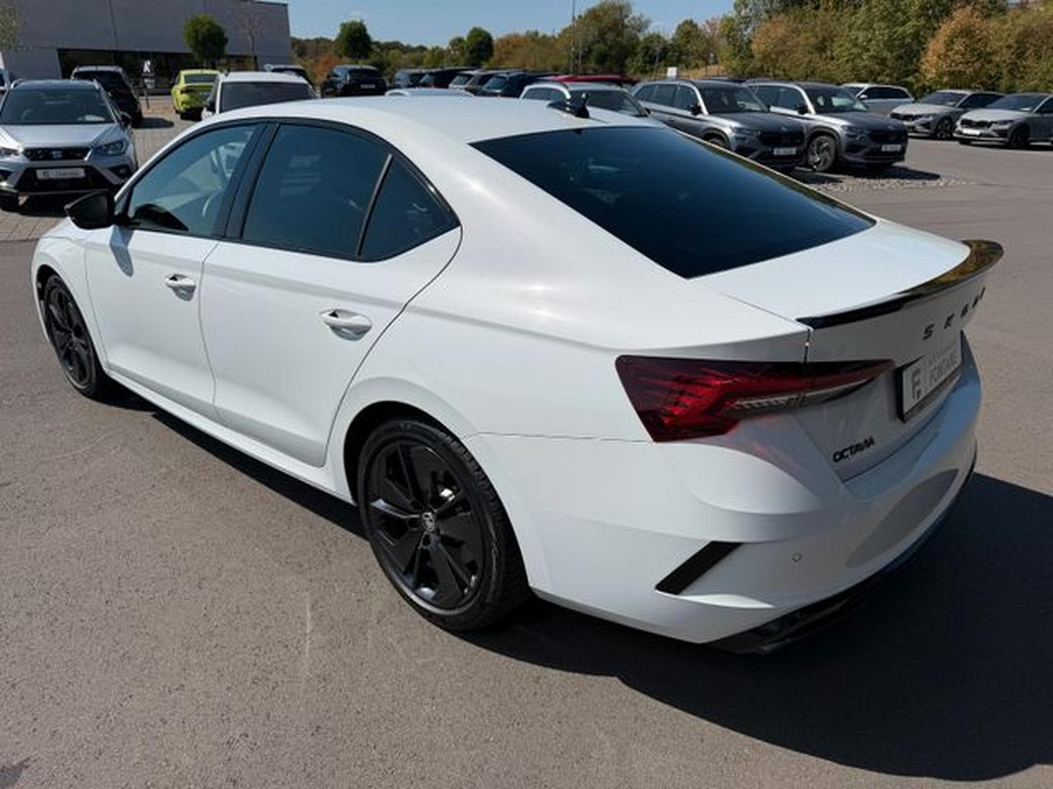 Skoda Octavia Octavia Limo 2.0TSI RS Facelift AHK Matrix ACC (2025) - Photo 8