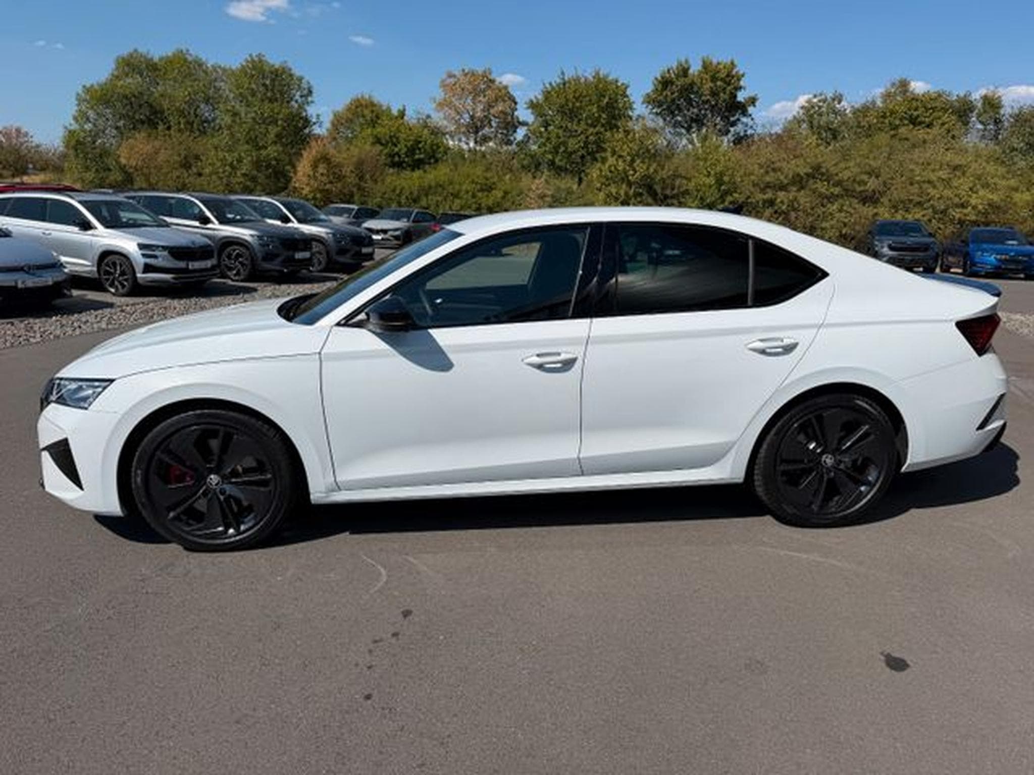Skoda Octavia Octavia Limo 2.0TSI RS Facelift AHK Matrix ACC (2025) - Photo 9