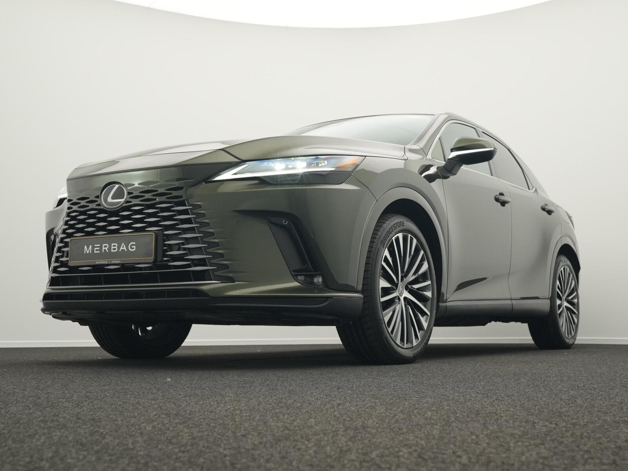Lexus RX Luxury Line (2024) - Photo 10