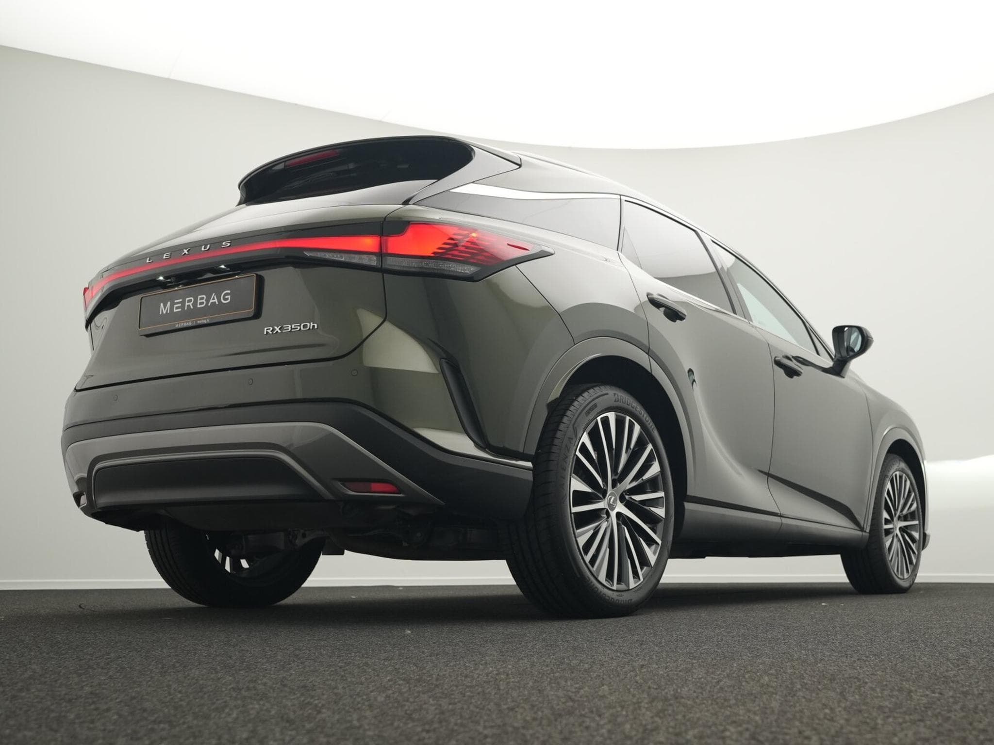 Lexus RX Luxury Line (2024) - Photo 11