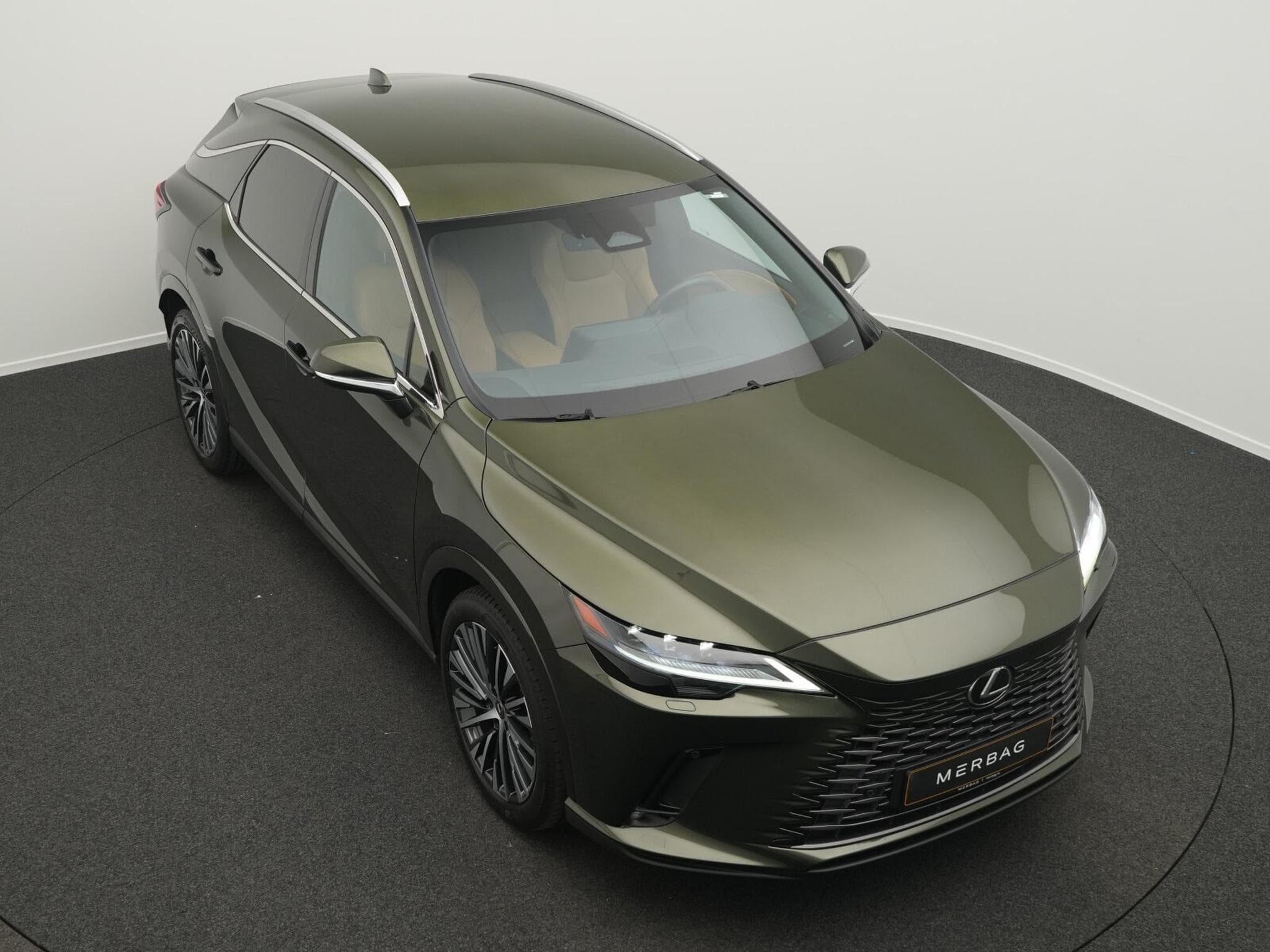 Lexus RX Luxury Line (2024) - Photo 12