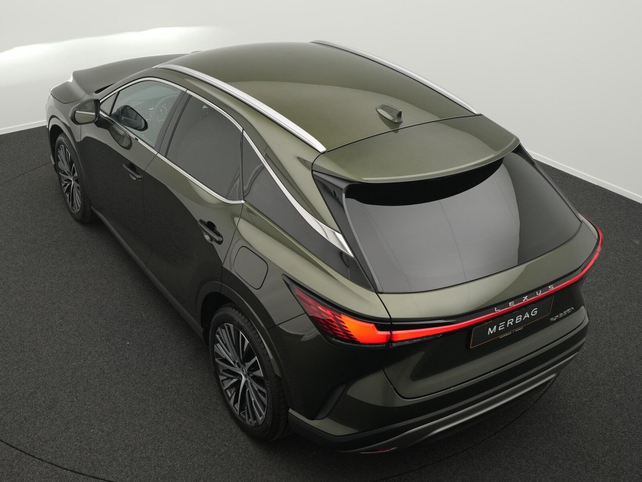 Lexus RX Luxury Line (2024) - Photo 13