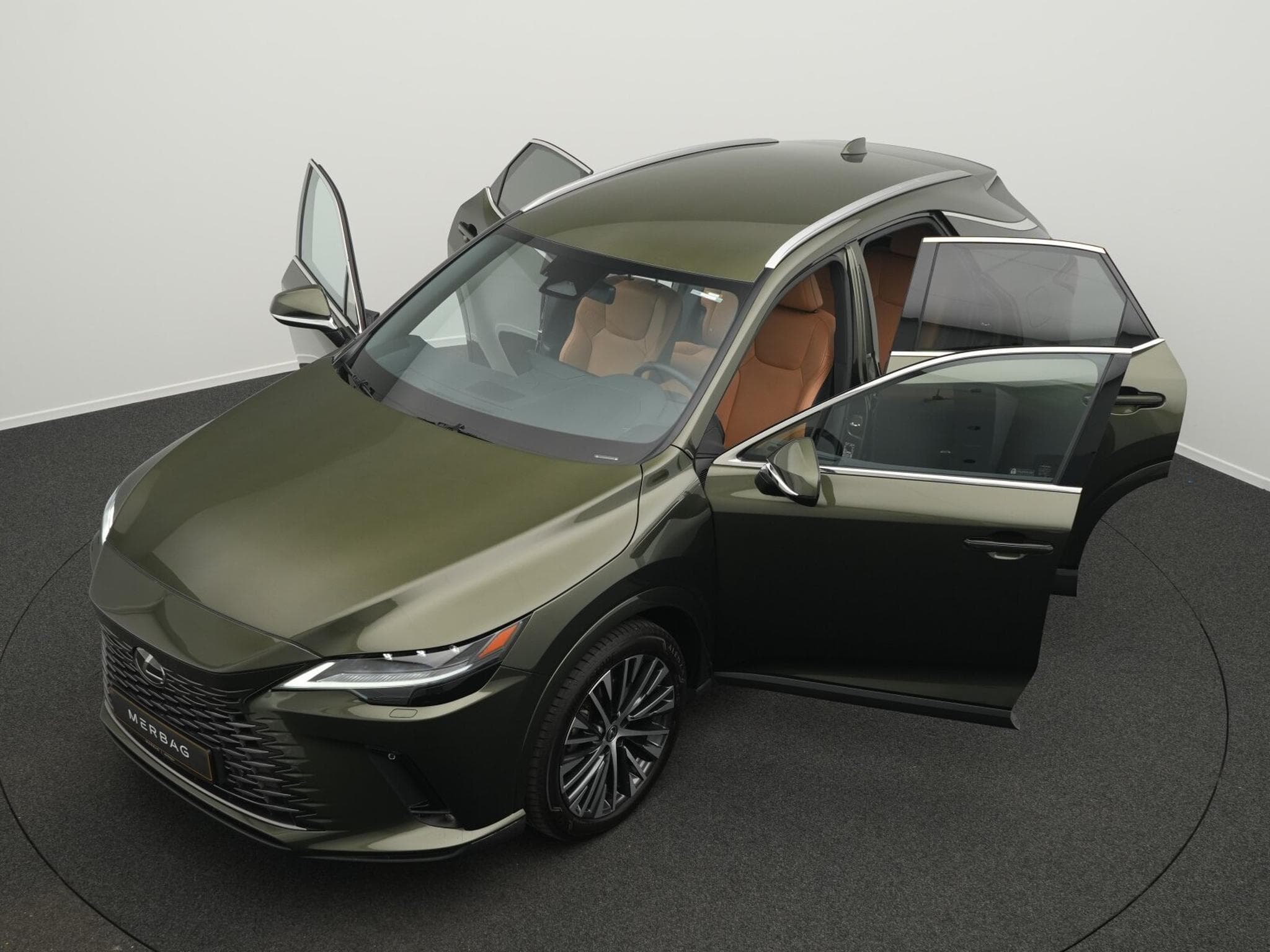 Lexus RX Luxury Line (2024) - Photo 14