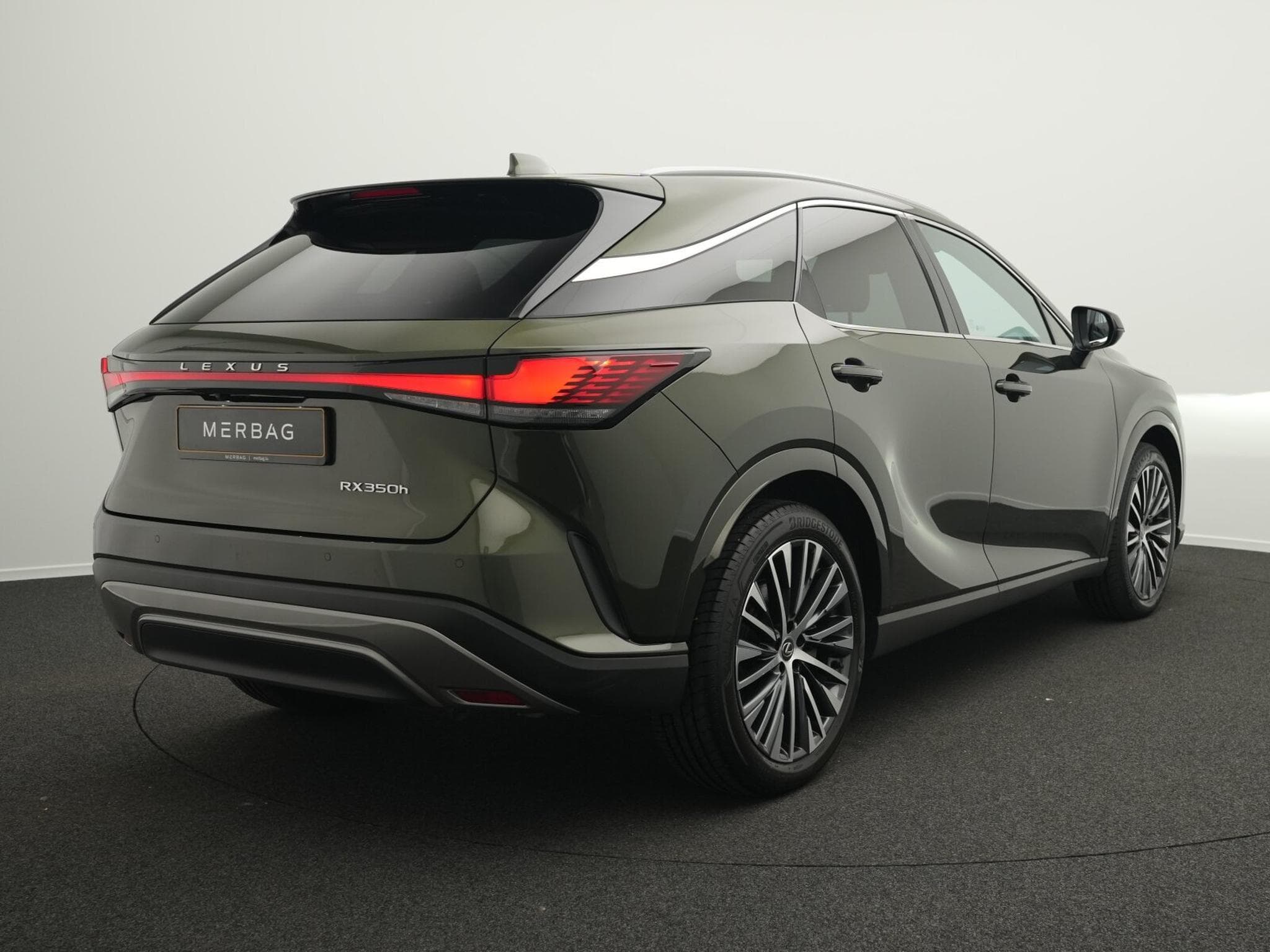 Lexus RX Luxury Line (2024) - Photo 3