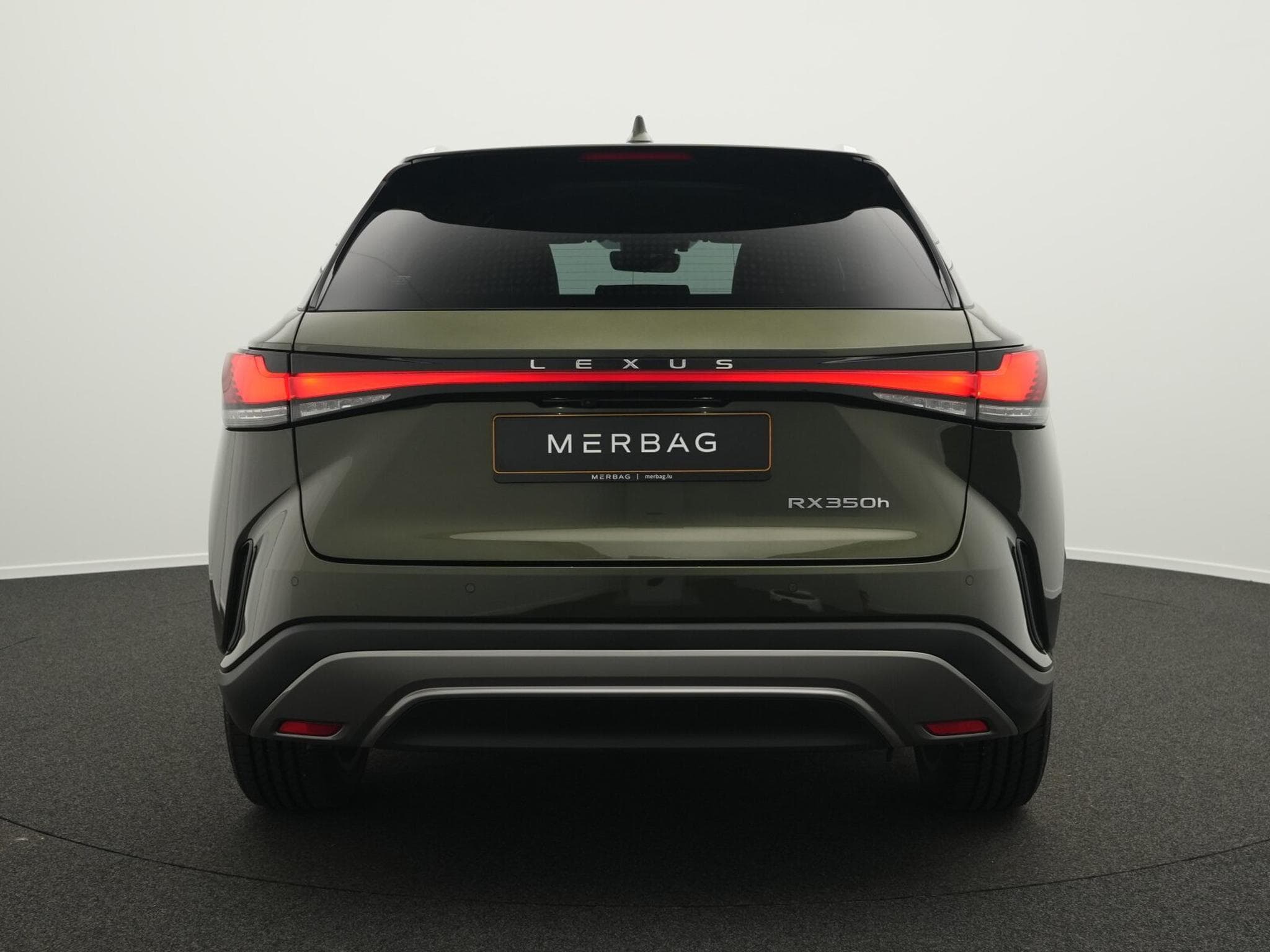Lexus RX Luxury Line (2024) - Photo 4