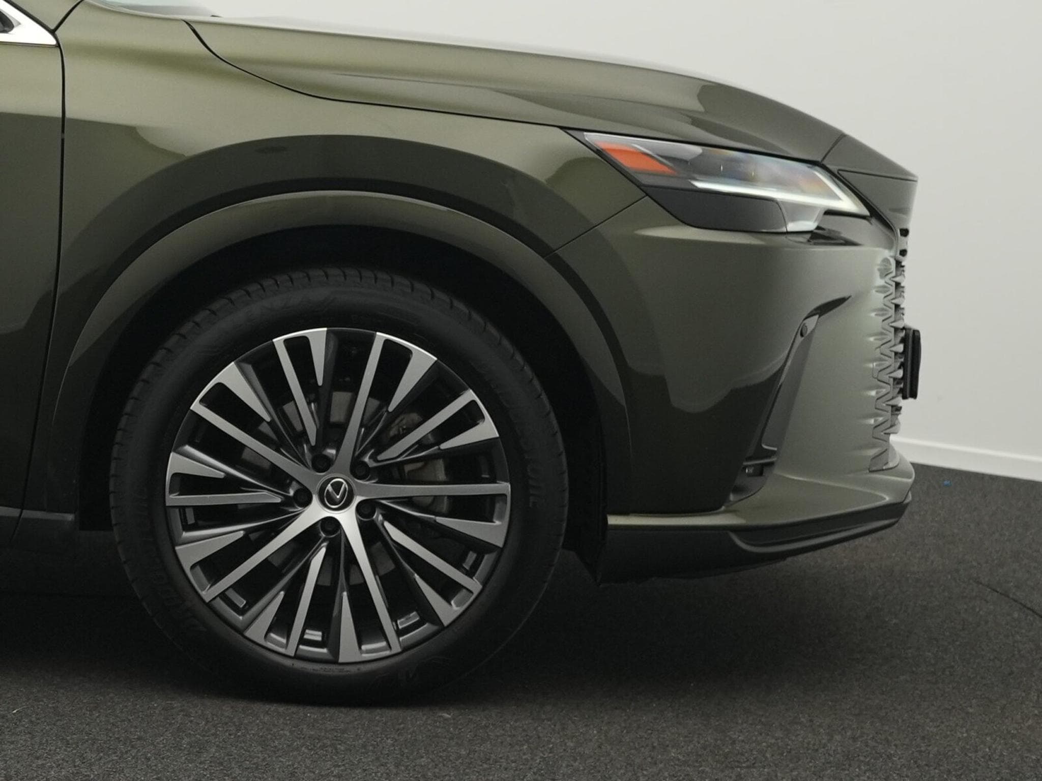 Lexus RX Luxury Line (2024) - Photo 8