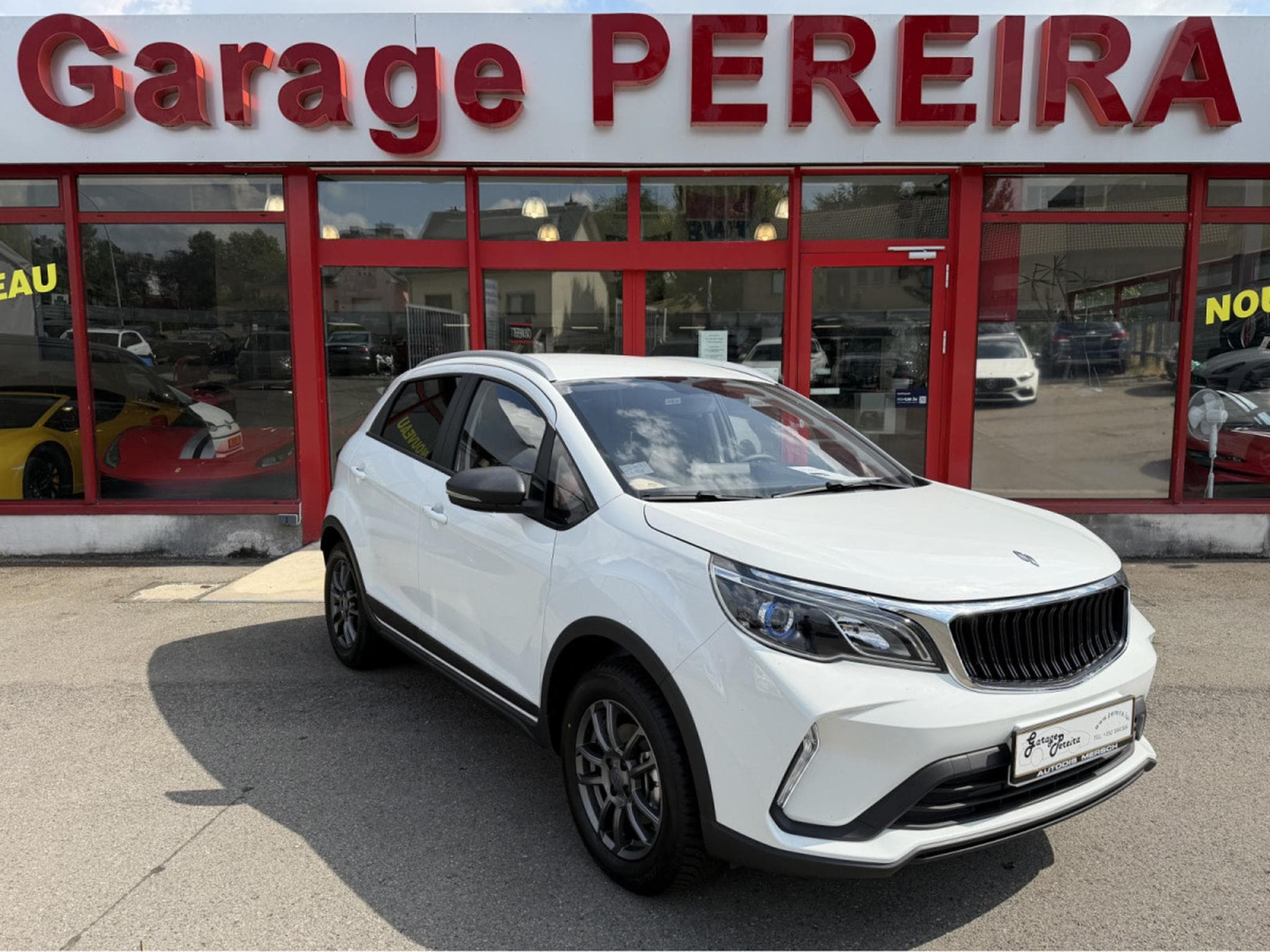 Livan X3 Pro 1.5 CUIR NAVI  1 HAND (2026) - Photo 1