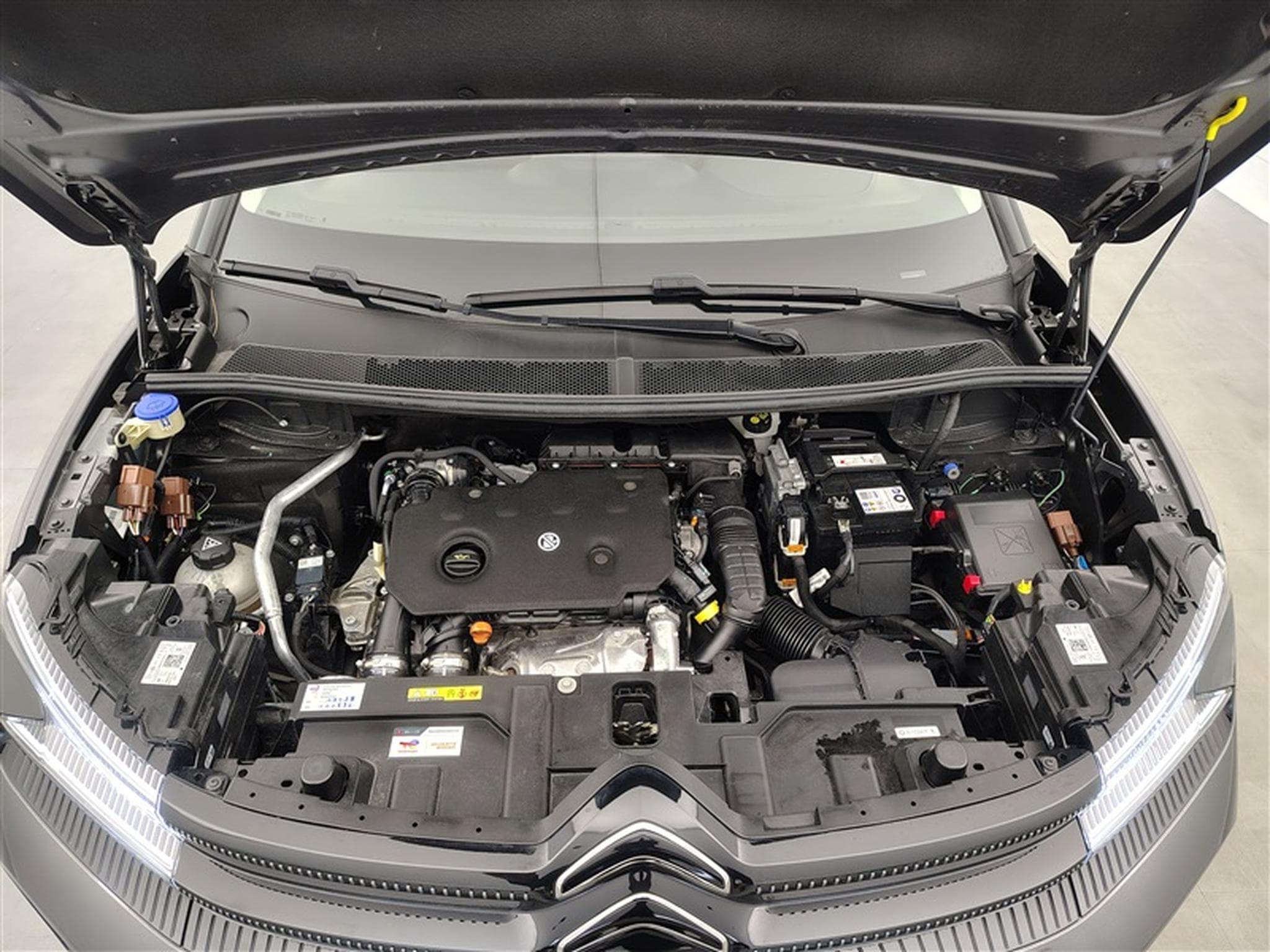 Citroen C5 Aircross 1.5 BlueHDi 130cv EAT8 PLUS NAVI / FULL LED / S-CUIR / JA 19 (2025) - Photo 19