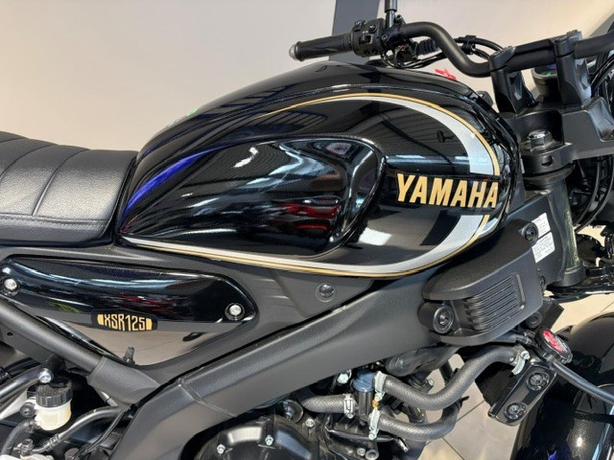 Yamaha XSR (2023) - Photo 6