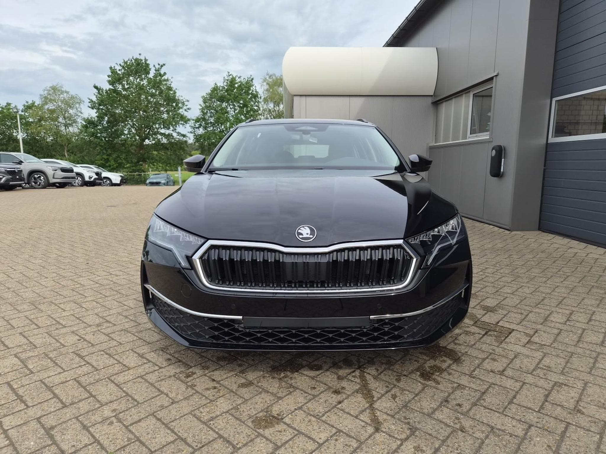 Skoda Octavia Combi (2026) - Photo 8