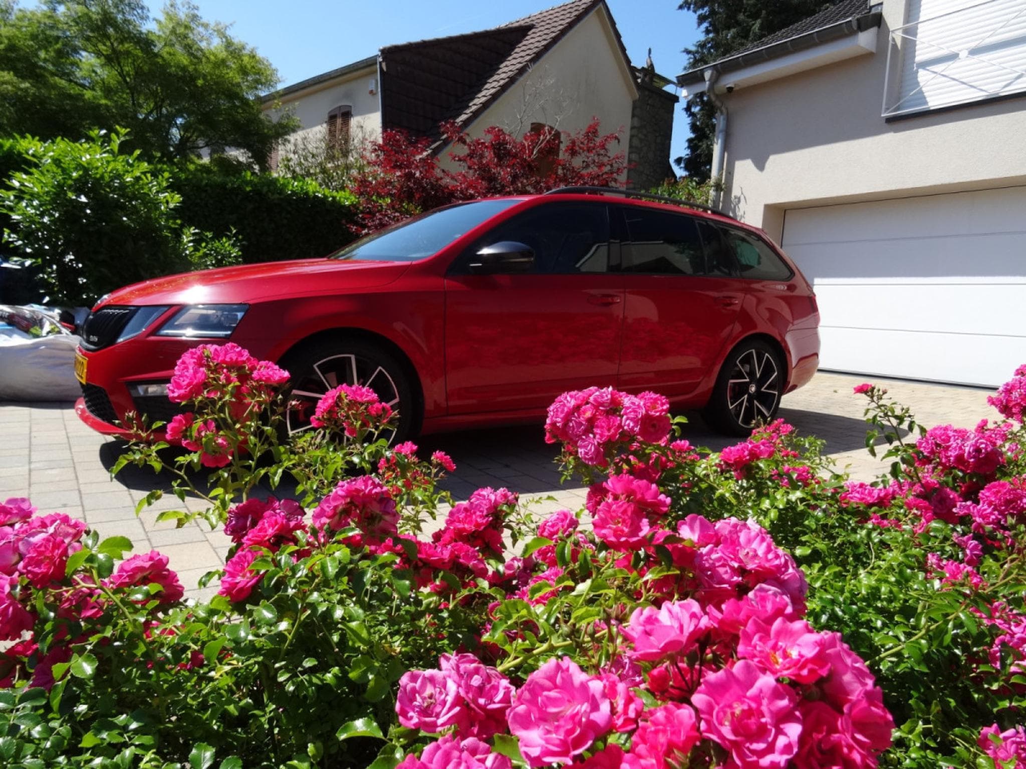 Skoda Octavia RS DSG (2019) - Photo 16