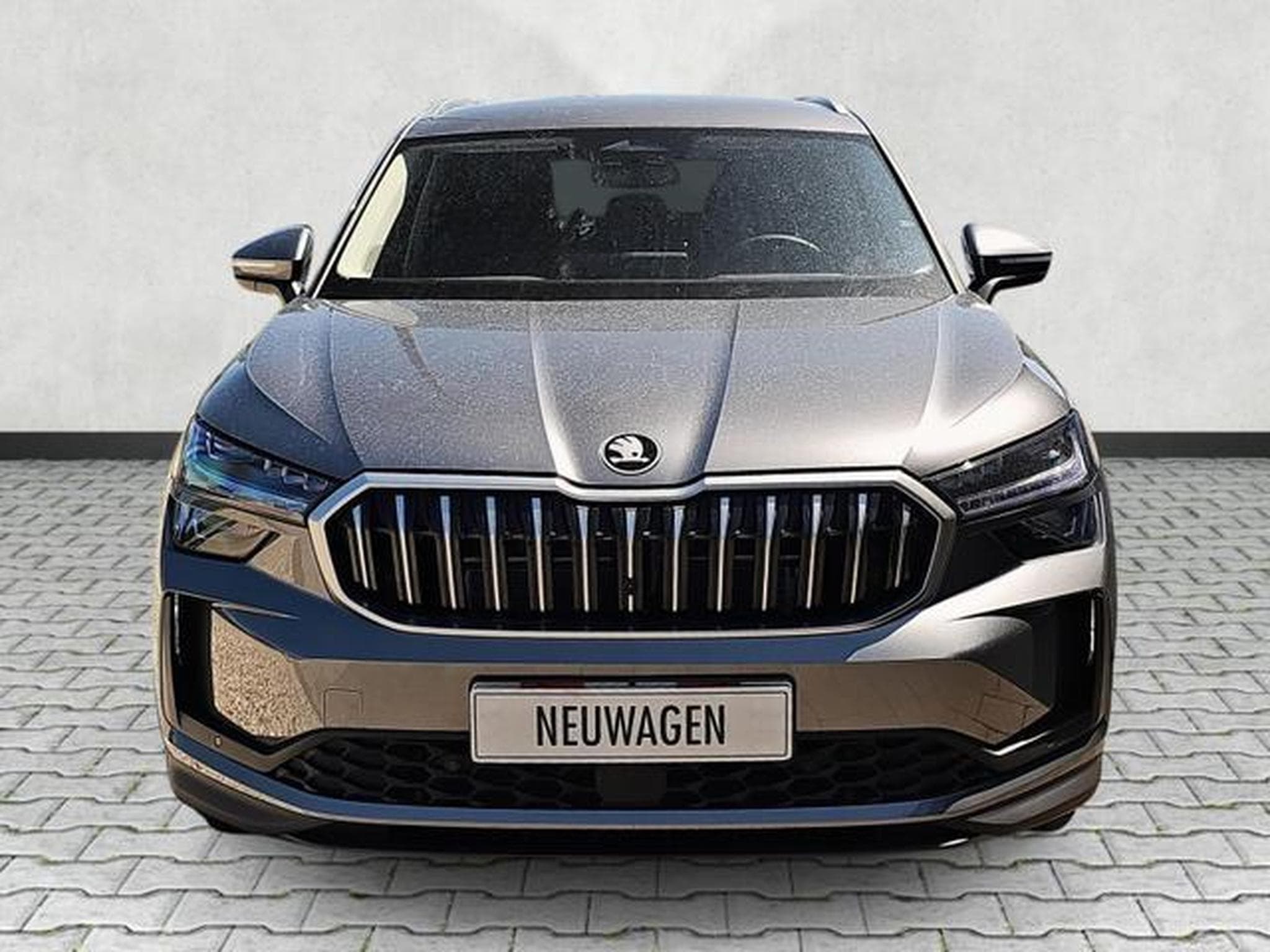 Skoda Kodiaq 2.0 TDI 110 kW Selection (2026) - Photo 2