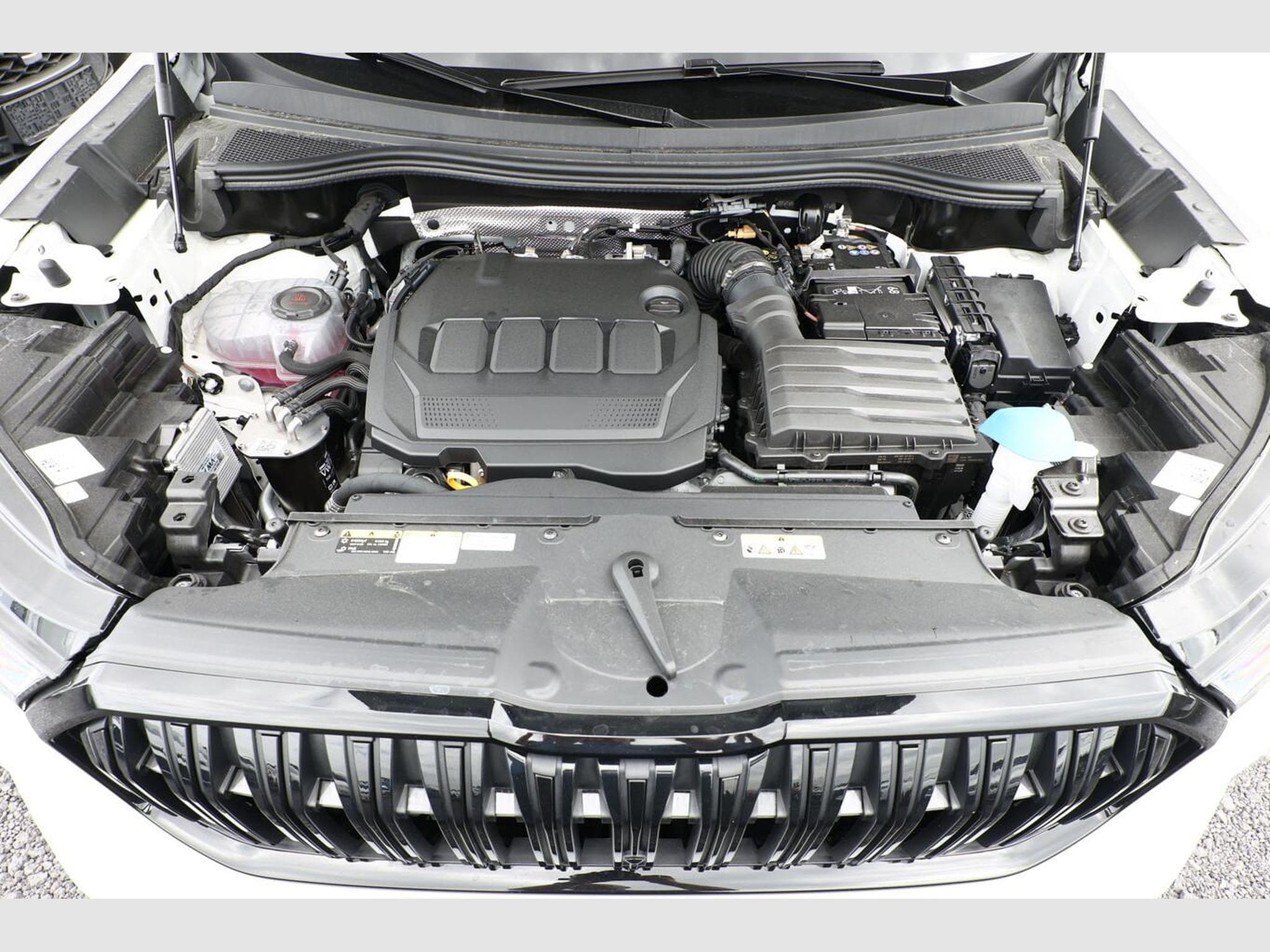 Skoda Kodiaq Sportline (2026) - Photo 12