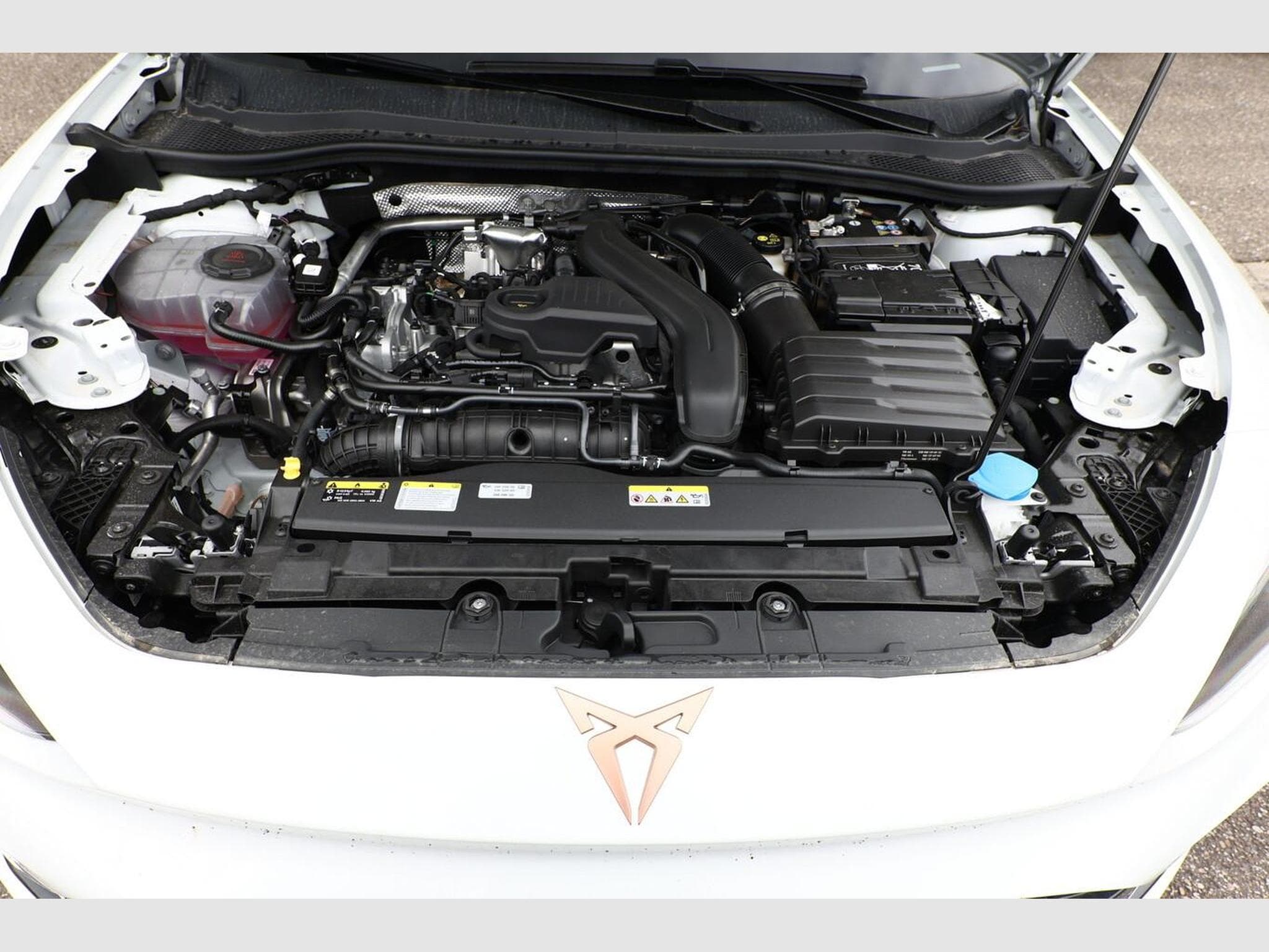 Cupra Leon DSG IntelliD Nav (2026) - Foto 12