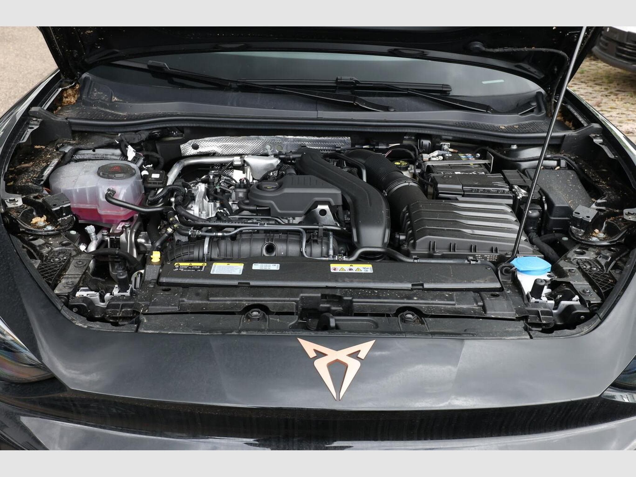 Cupra Leon DSG IntelliD Nav (2026) - Foto 12