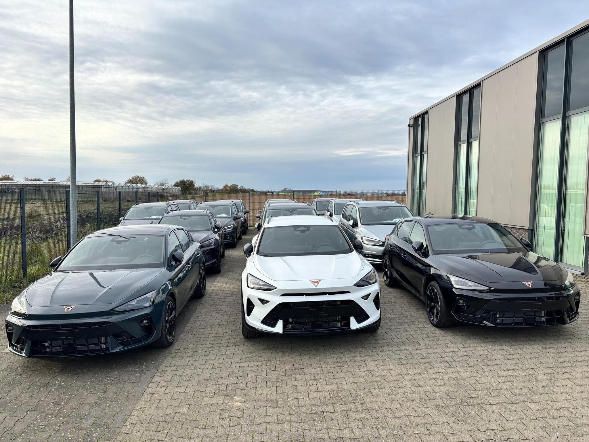 Cupra Leon Basis (2026) - Foto 12