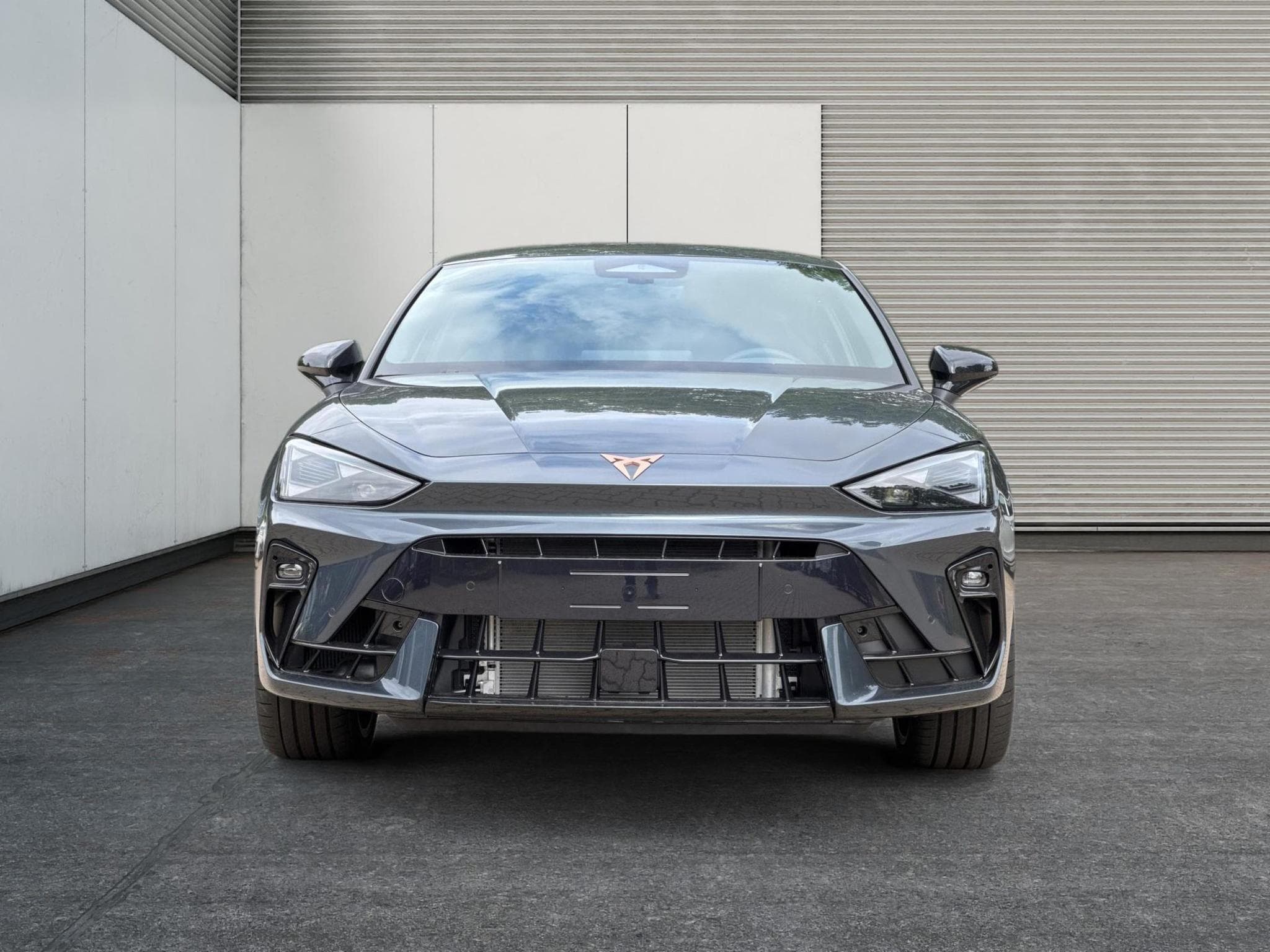 Cupra Leon VZ (2026) - Foto 6