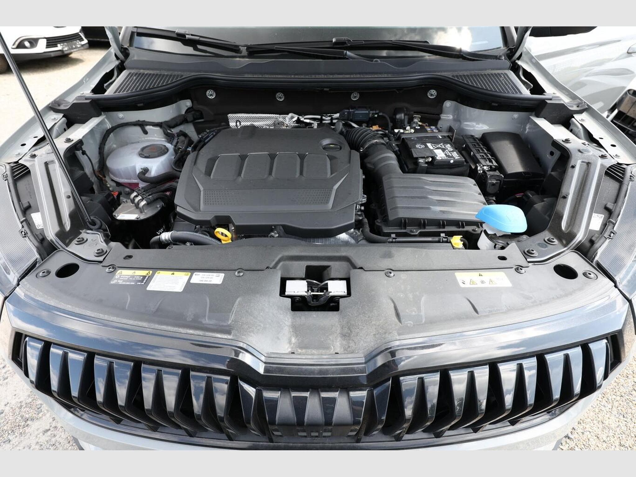 Skoda Karoq Sportline (2026) - Foto 12