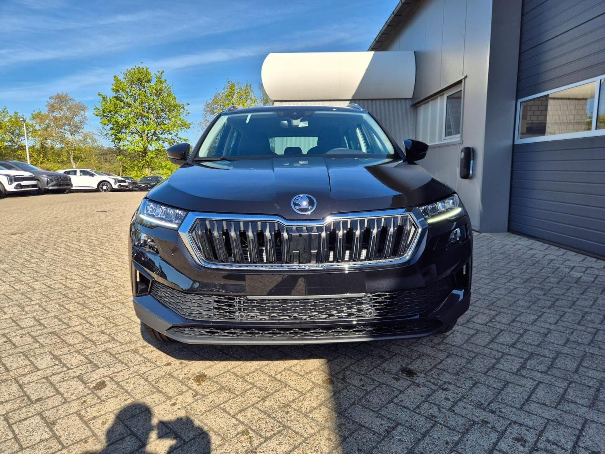Skoda Karoq 1.5 TSI 150PS (2026) - Foto 8