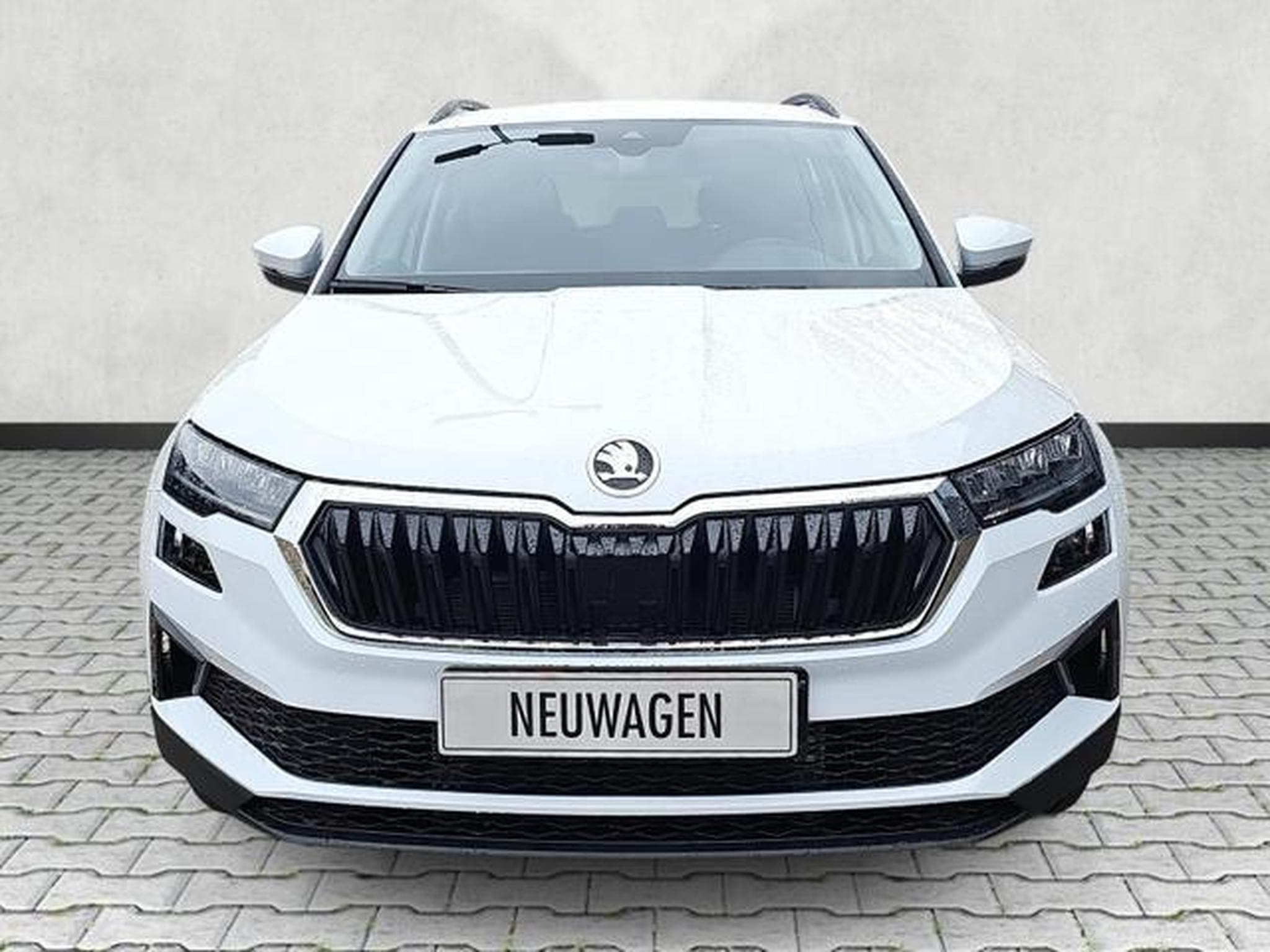 Skoda Karoq Selection (2026) - Foto 2