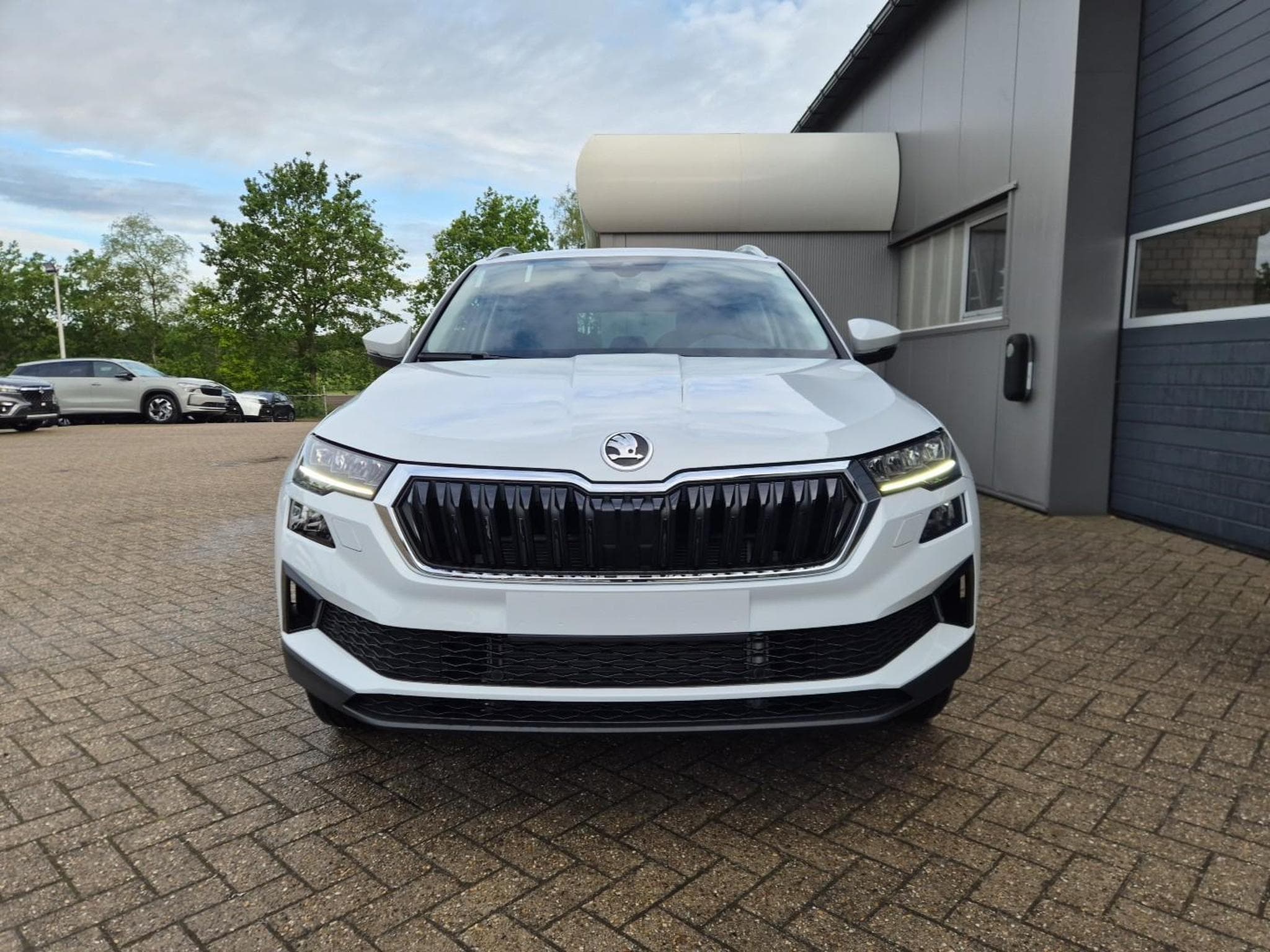 Skoda Karoq 1.5 TSI 150PS (2026) - Foto 8