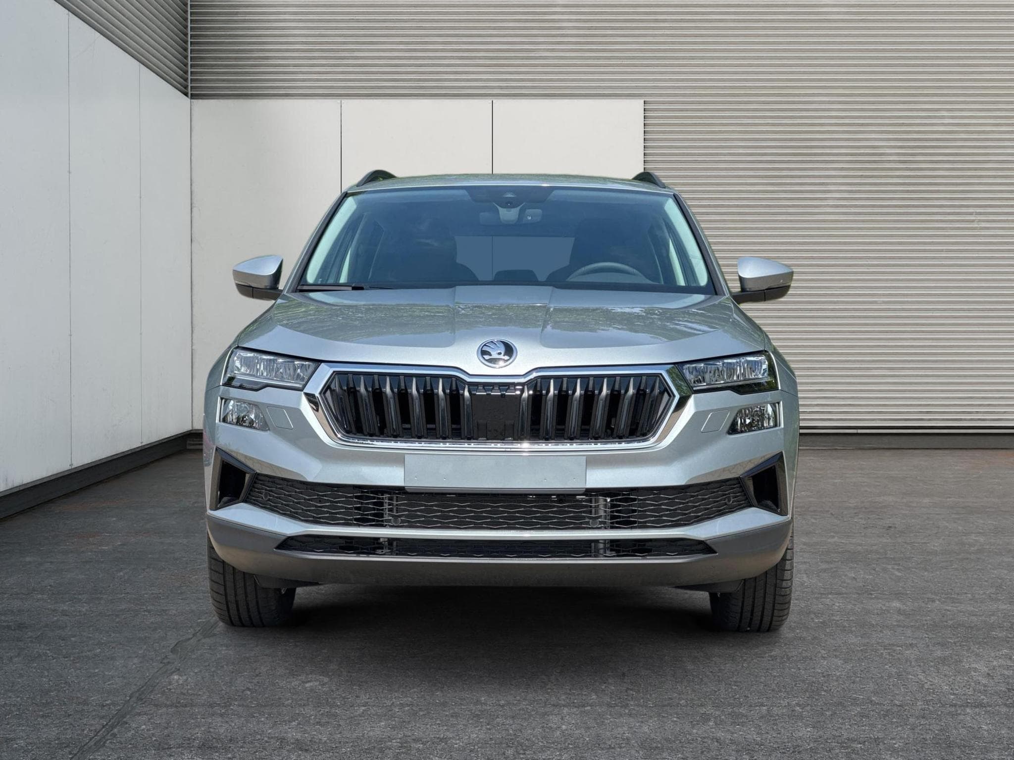 Skoda Karoq Selection (2026) - Foto 6