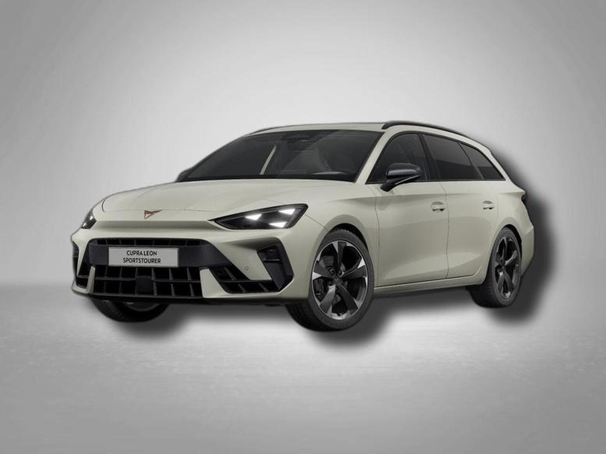 Cupra Leon 2.0 TDI 7-Gang-DSG (2026) - Foto 1