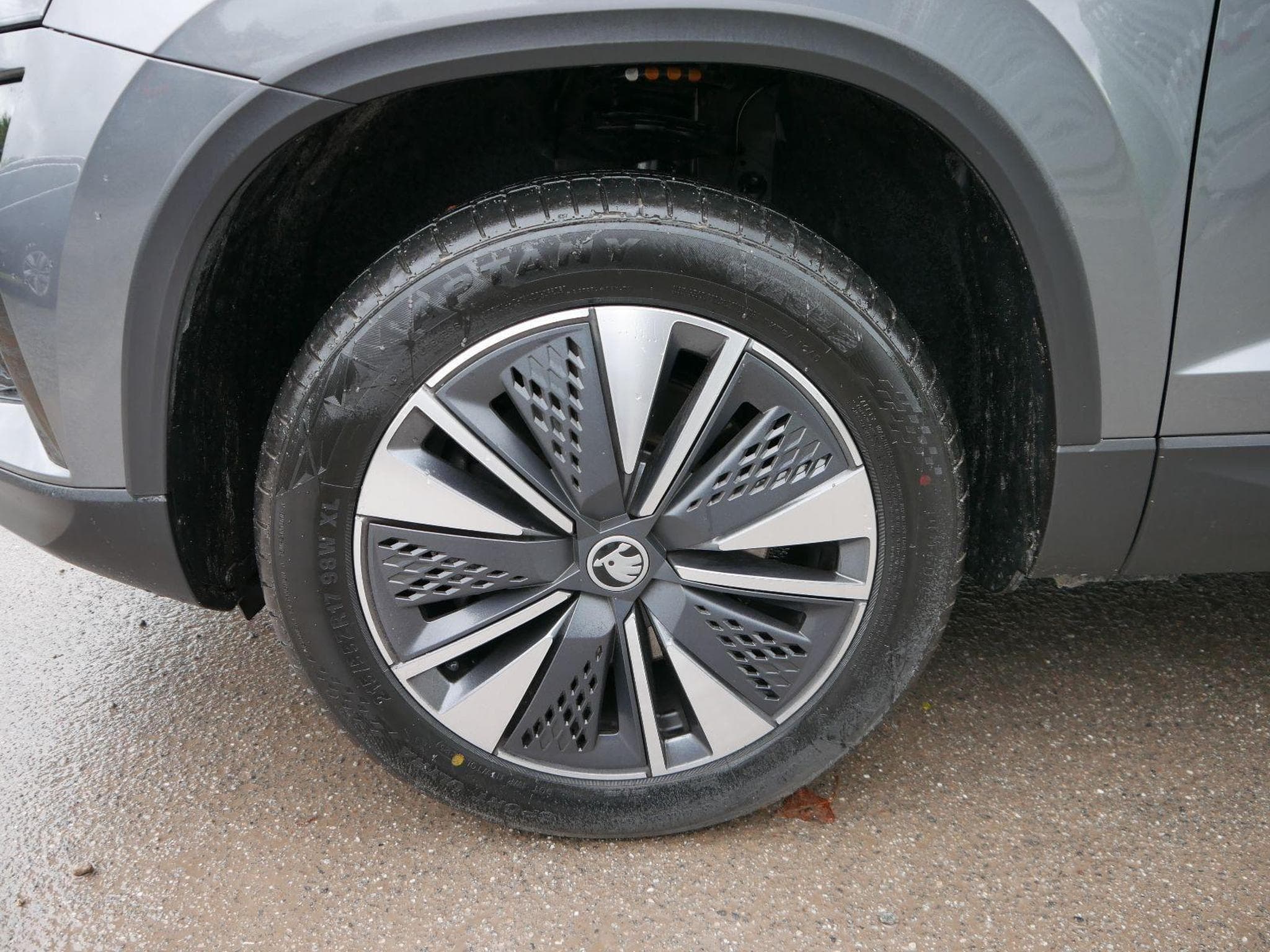 Skoda Karoq Selection (2025) - Foto 3