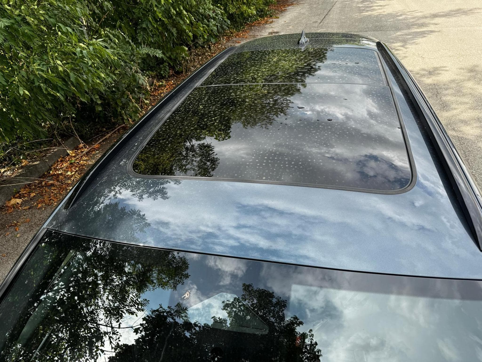 Cupra Leon 2.0TSI 150 kW (2026) - Foto 4
