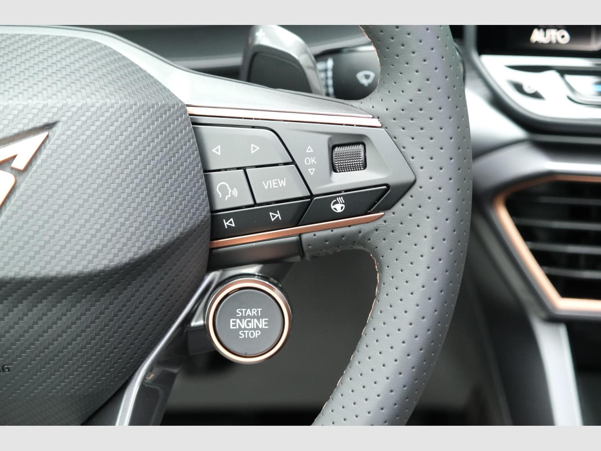 Cupra Leon SP 2.0 TSI (2026) - Foto 18