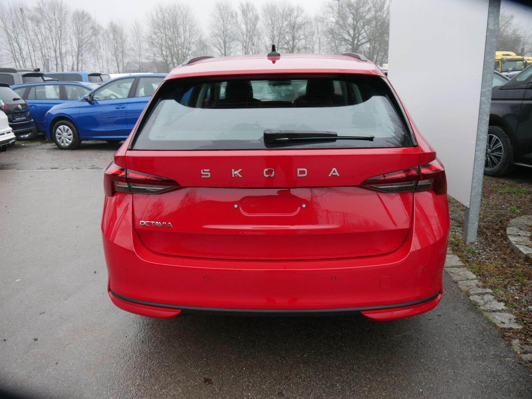 Skoda Octavia Selection (2026) - Foto 2