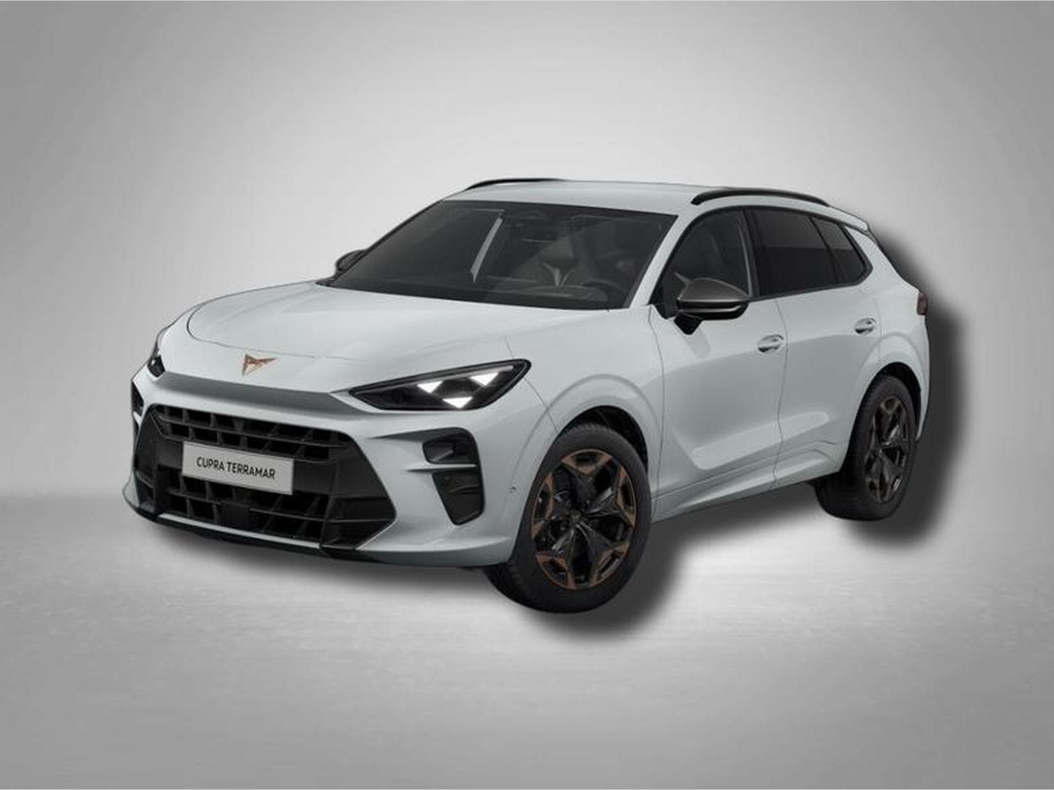 Cupra Terramar VZ 2.0 TSI 7-Gang-DSG 4Drive (2025) - Photo 1