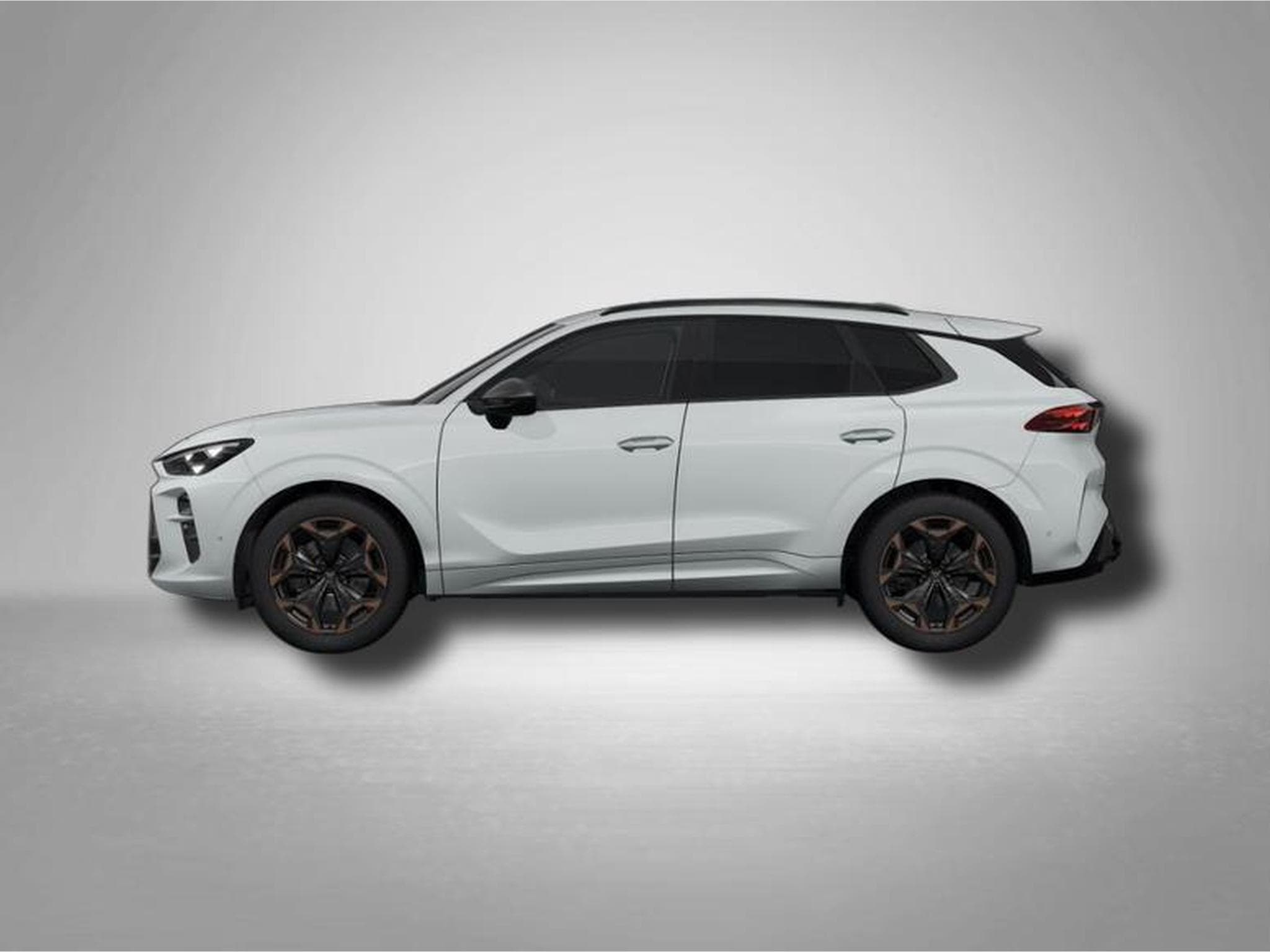 Cupra Terramar VZ 2.0 TSI 7-Gang-DSG 4Drive (2025) - Photo 2