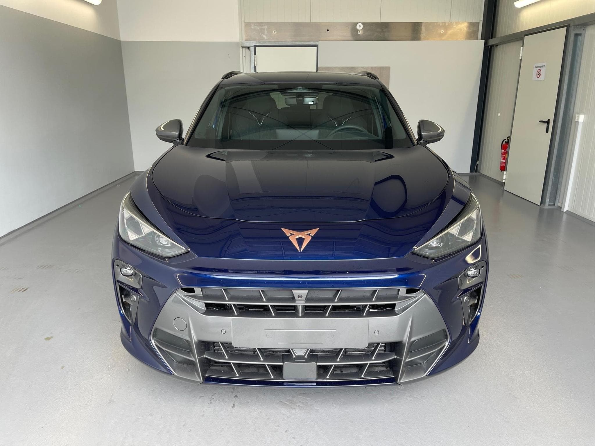Cupra Terramar Terramar (2026) - Foto 2