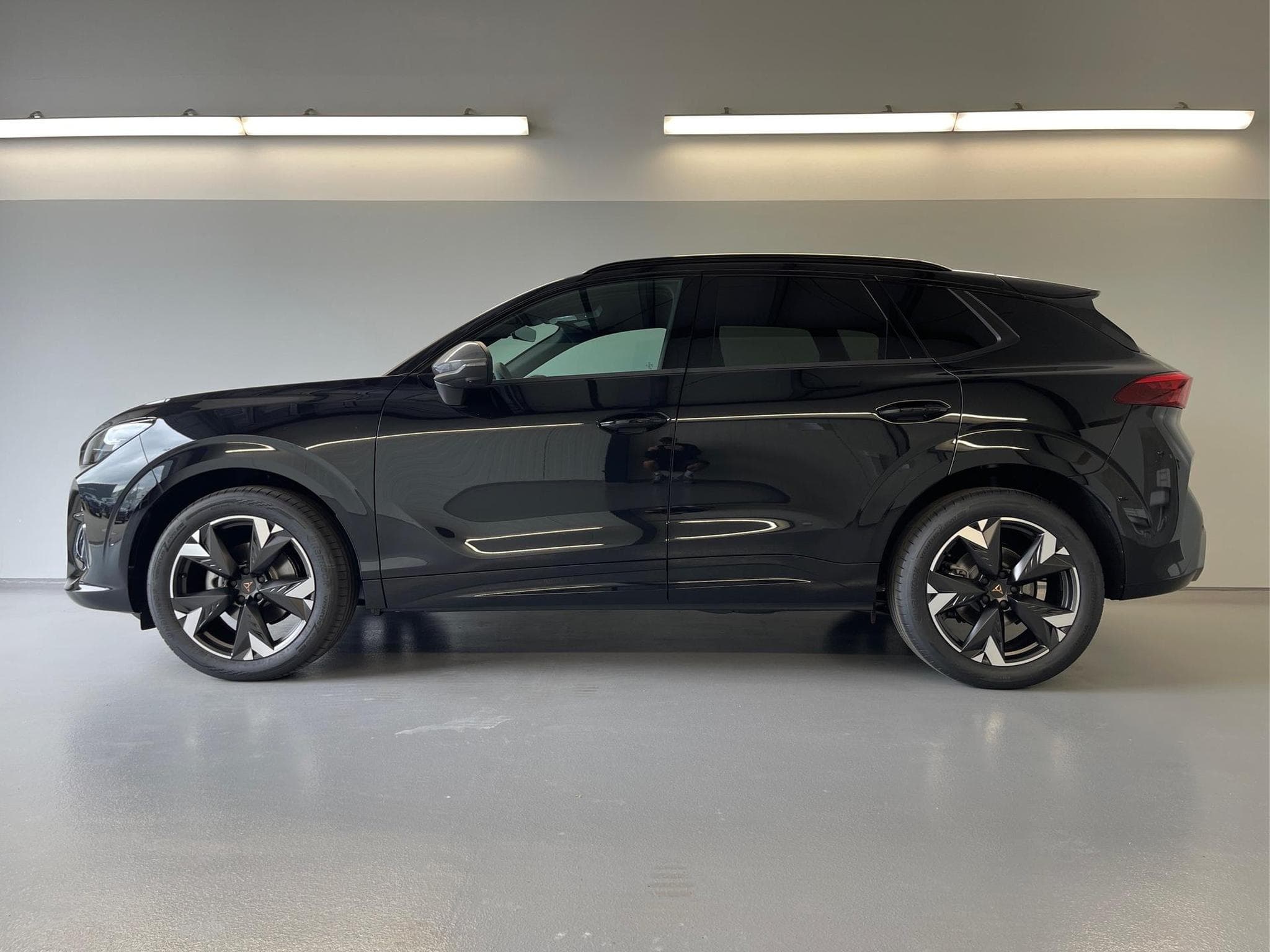 Cupra Terramar Terramar (2026) - Foto 3
