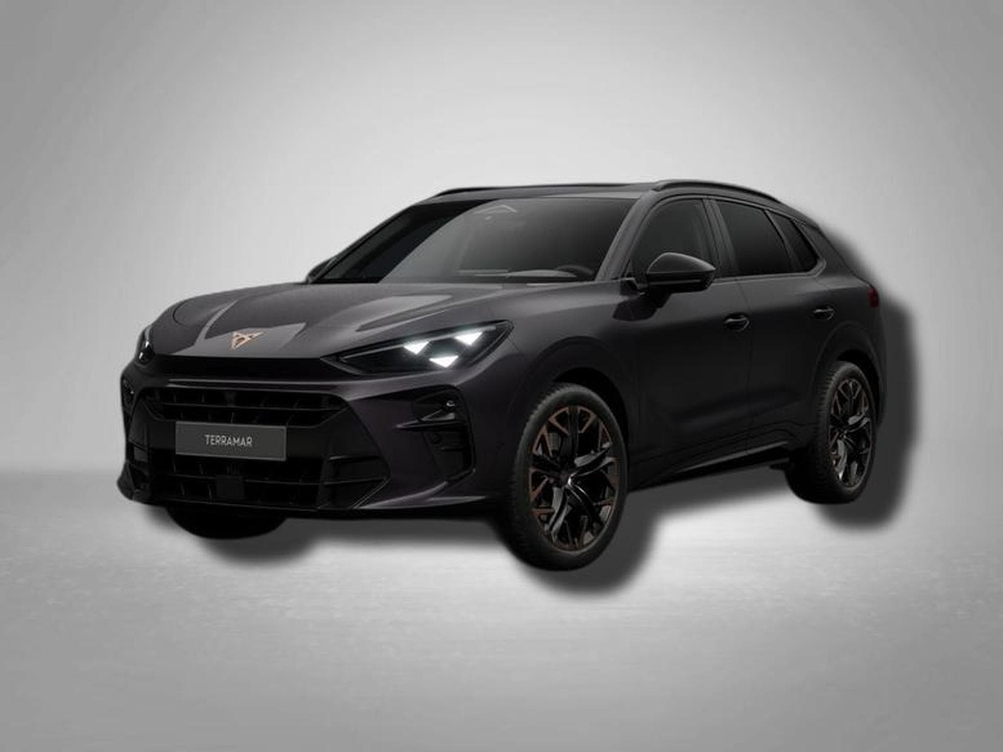 Cupra Terramar VZ 2.0 TSI 7-Gang-DSG 4Drive (2026) - Foto 1