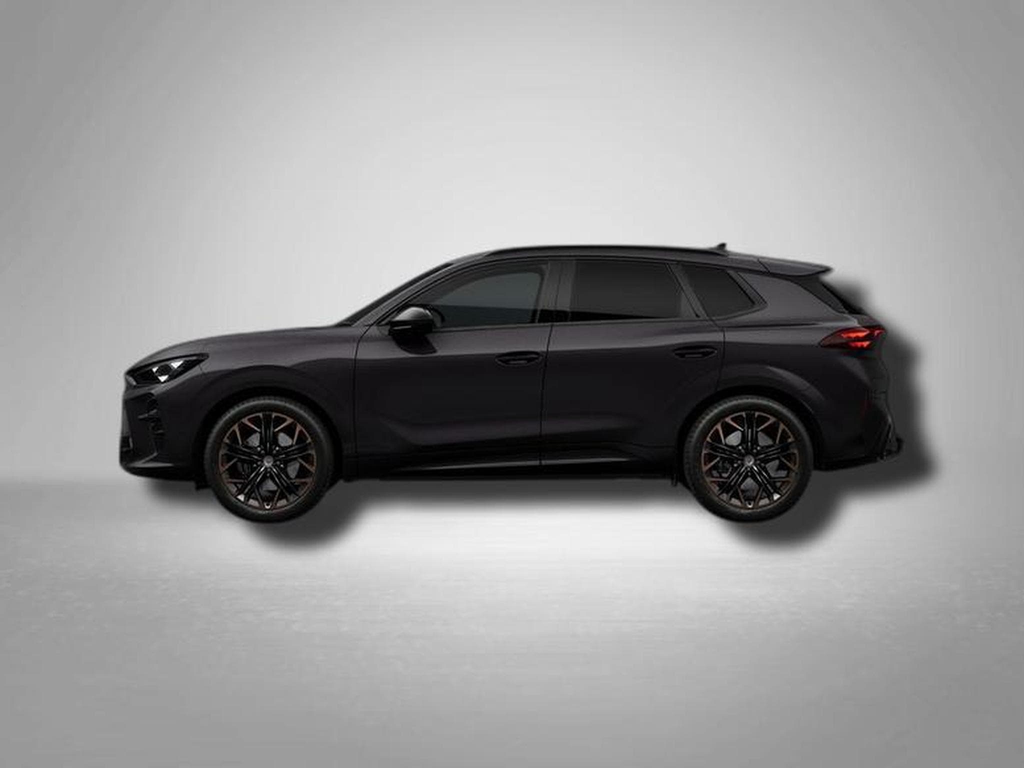 Cupra Terramar VZ 2.0 TSI 7-Gang-DSG 4Drive (2026) - Foto 2
