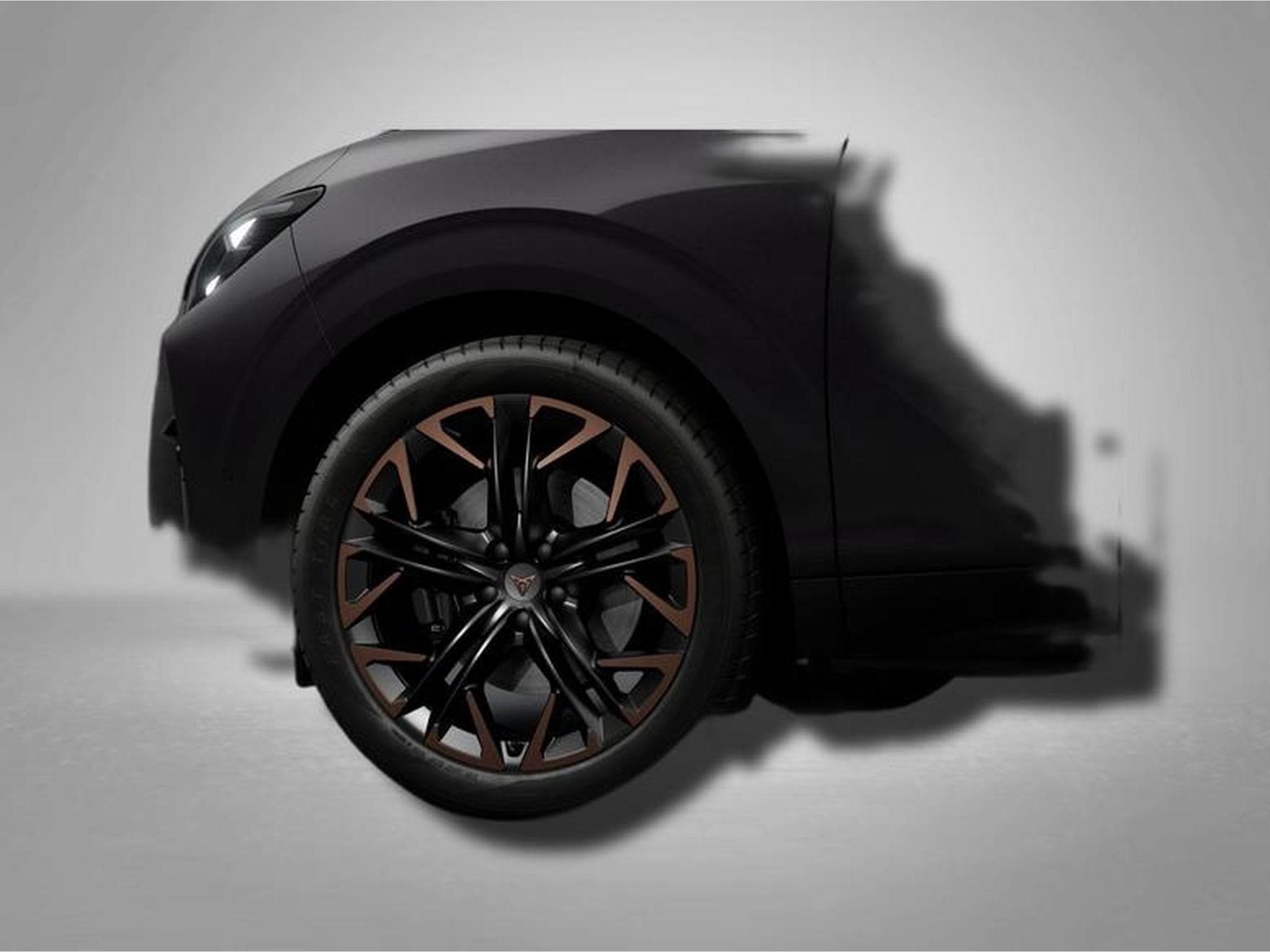 Cupra Terramar VZ 2.0 TSI 7-Gang-DSG 4Drive (2026) - Foto 4
