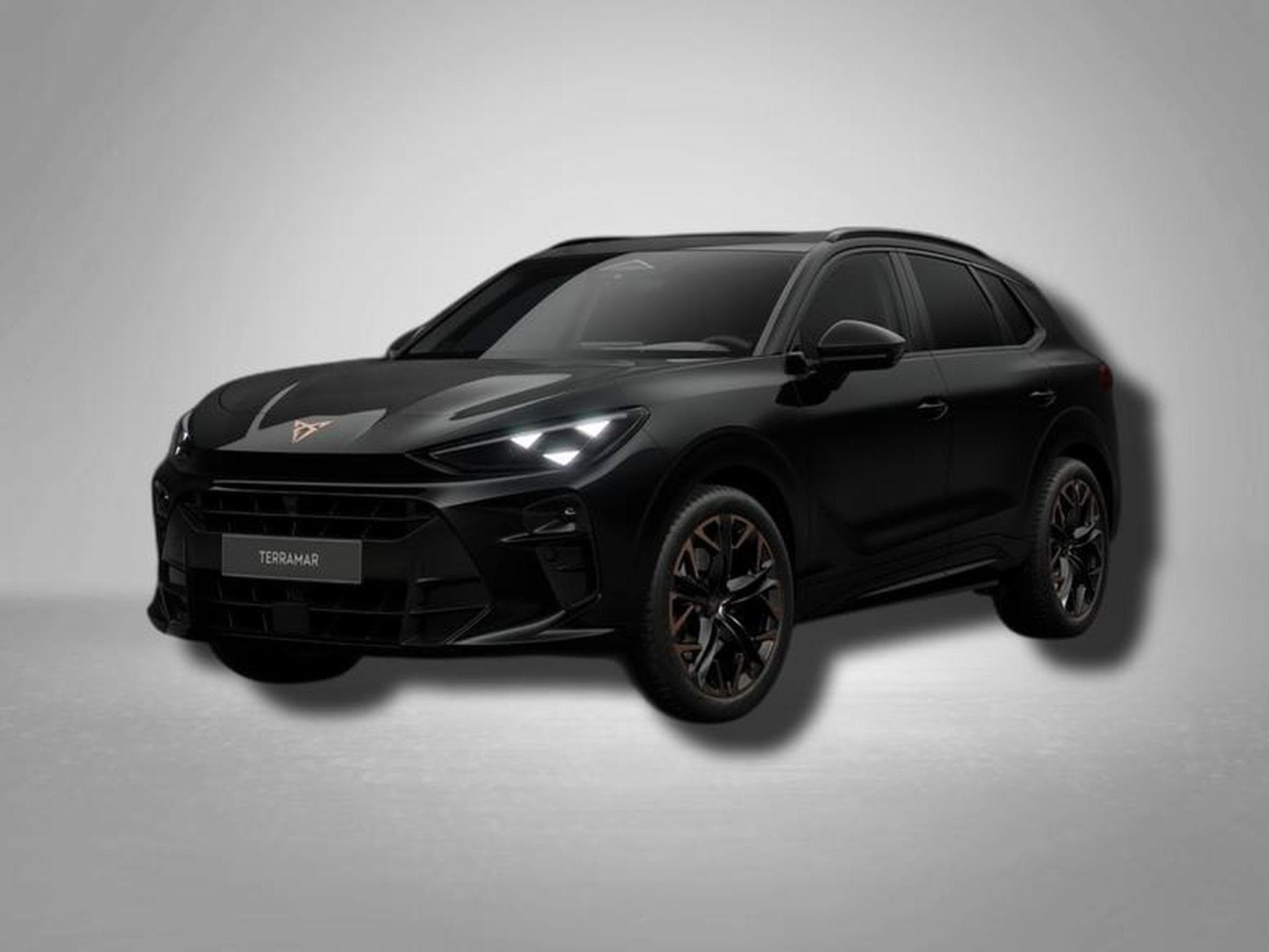 Cupra Terramar VZ 2.0 TSI 7-Gang-DSG 4Drive (2026) - Foto 1