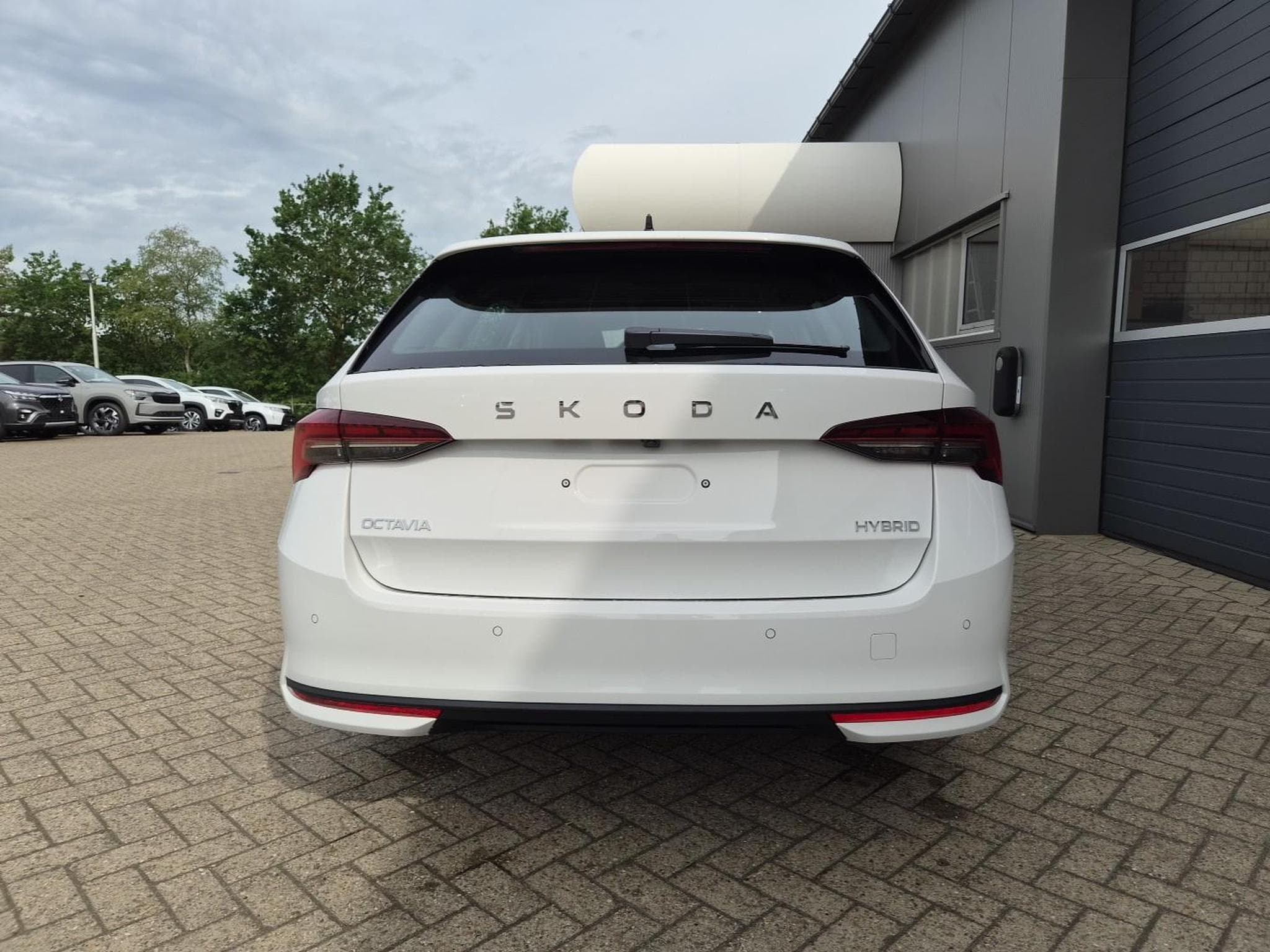 Skoda Octavia 1.5 TSI 150PS (2026) - Foto 4