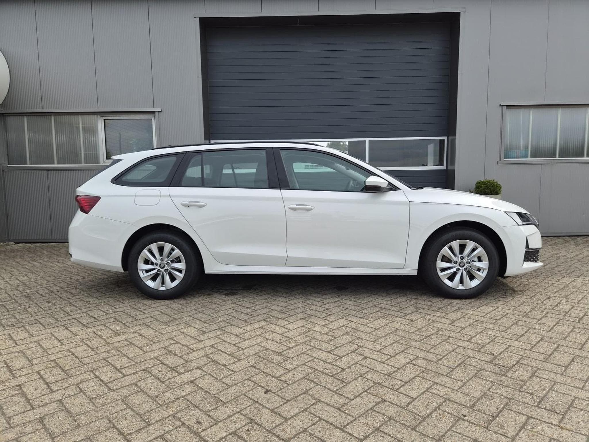 Skoda Octavia 1.5 TSI 150PS (2026) - Foto 6