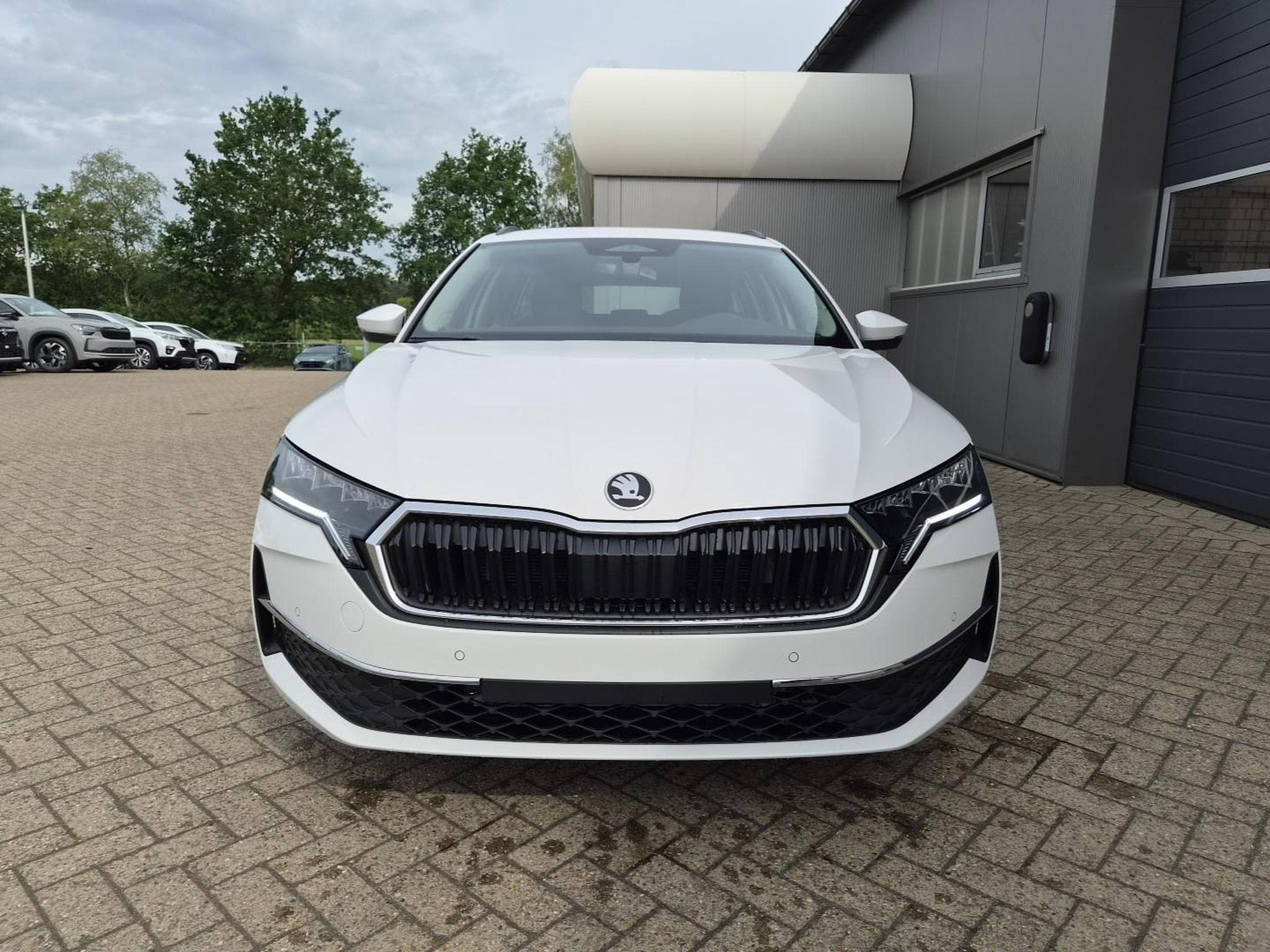 Skoda Octavia 1.5 TSI 150PS (2026) - Foto 8