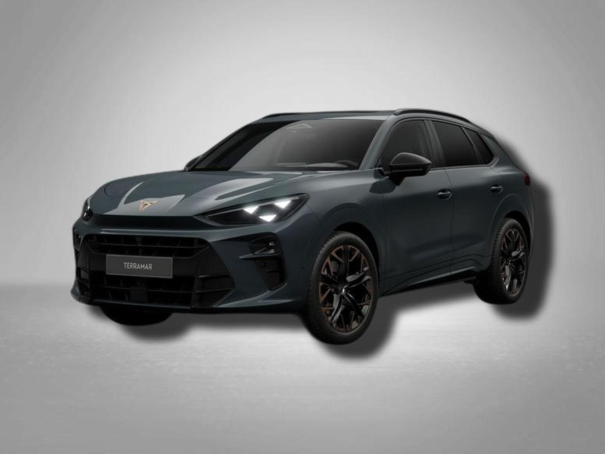 Cupra Terramar VZ 2.0 TSI 7-Gang-DSG 4Drive (2026) - Foto 1