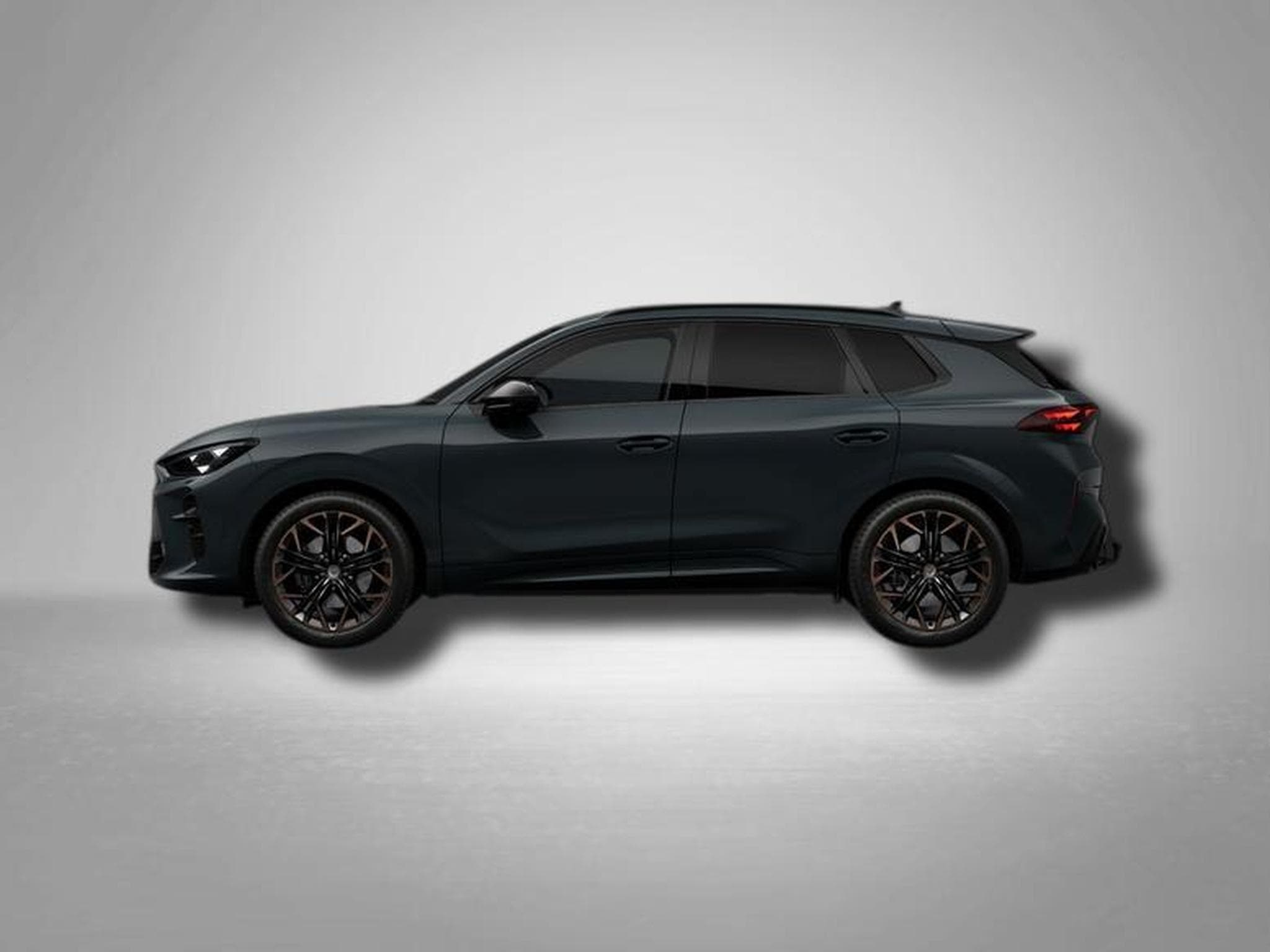 Cupra Terramar VZ 2.0 TSI 7-Gang-DSG 4Drive (2026) - Foto 2