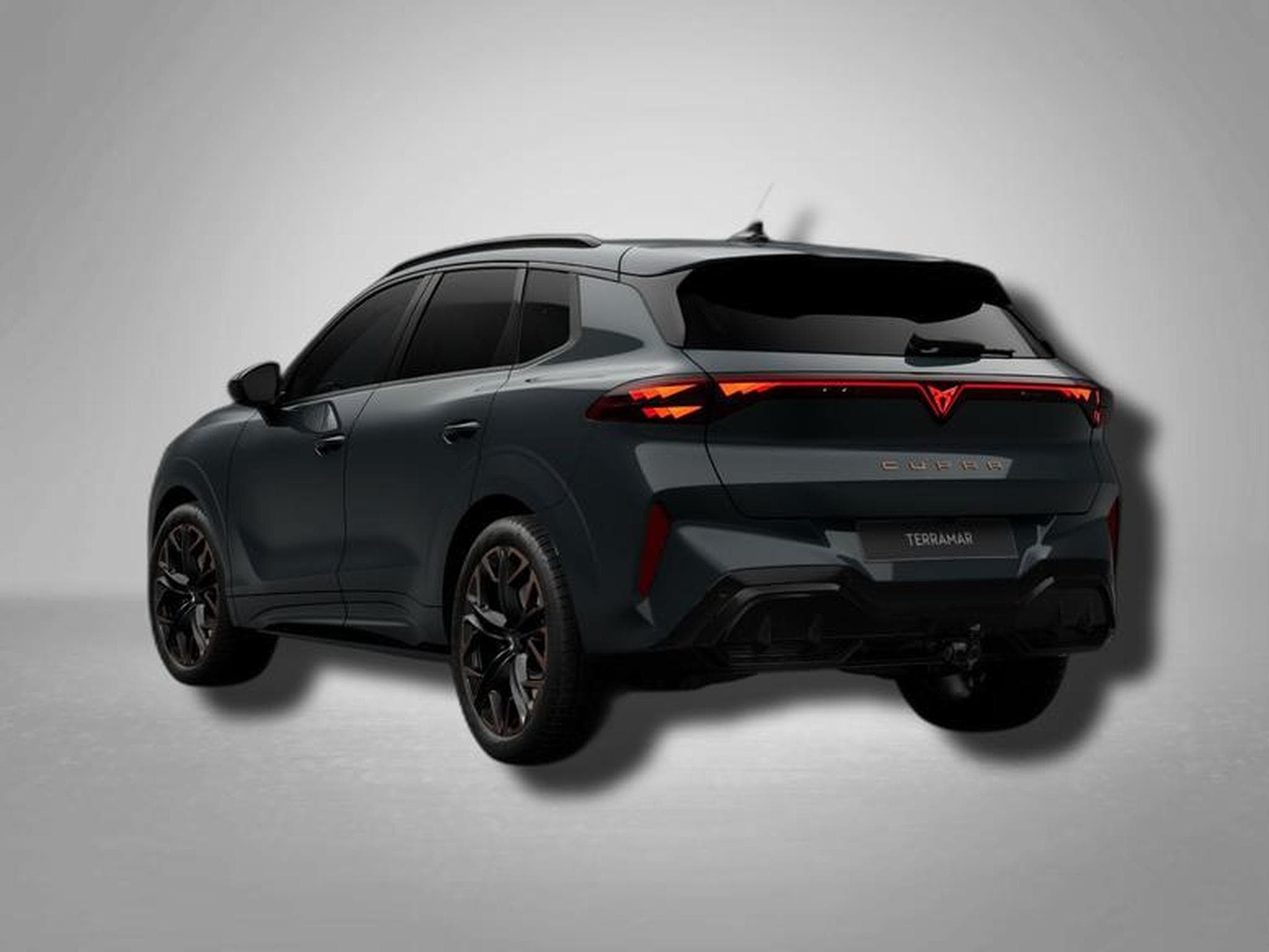 Cupra Terramar VZ 2.0 TSI 7-Gang-DSG 4Drive (2026) - Foto 3