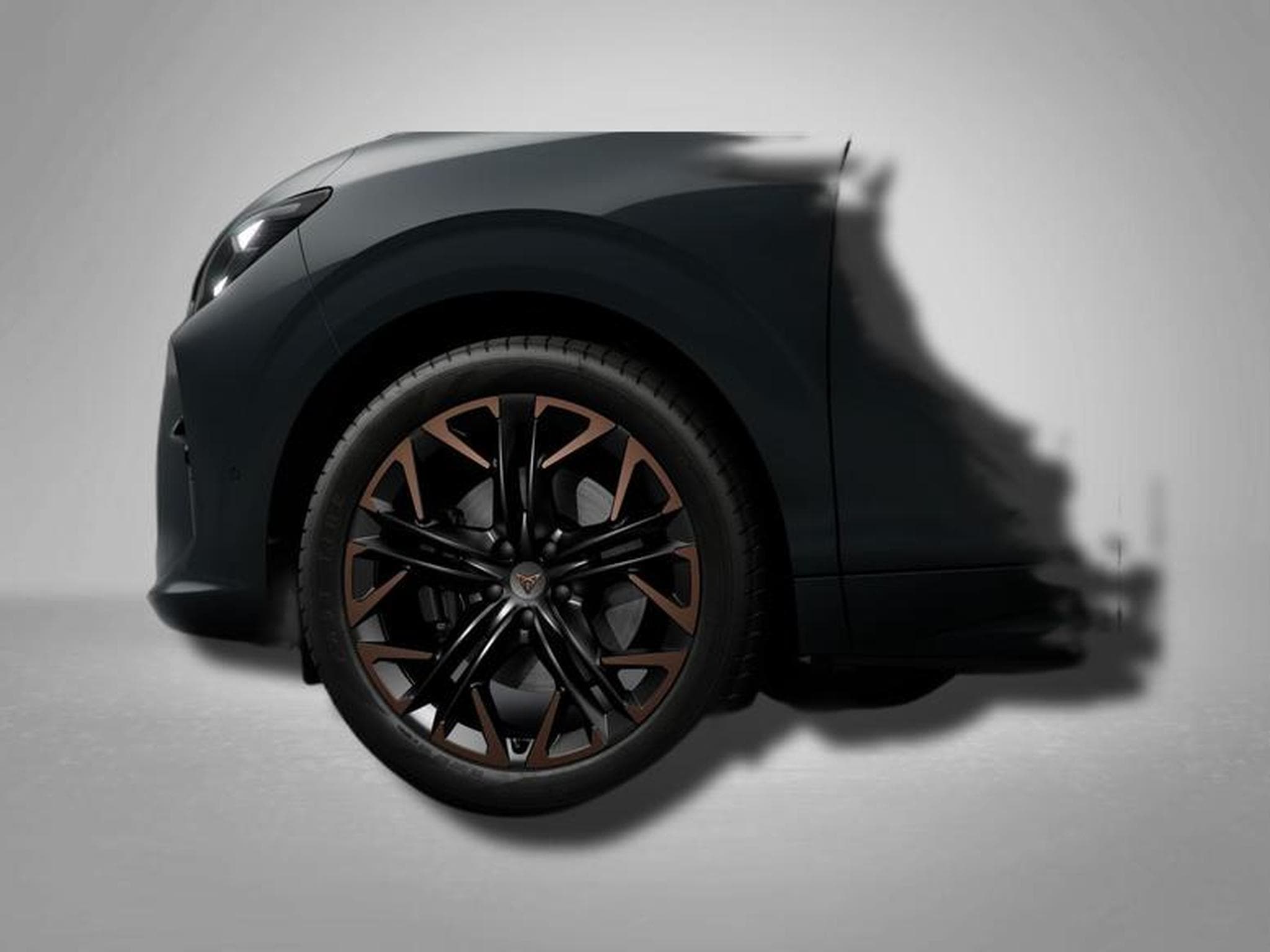 Cupra Terramar VZ 2.0 TSI 7-Gang-DSG 4Drive (2026) - Foto 4