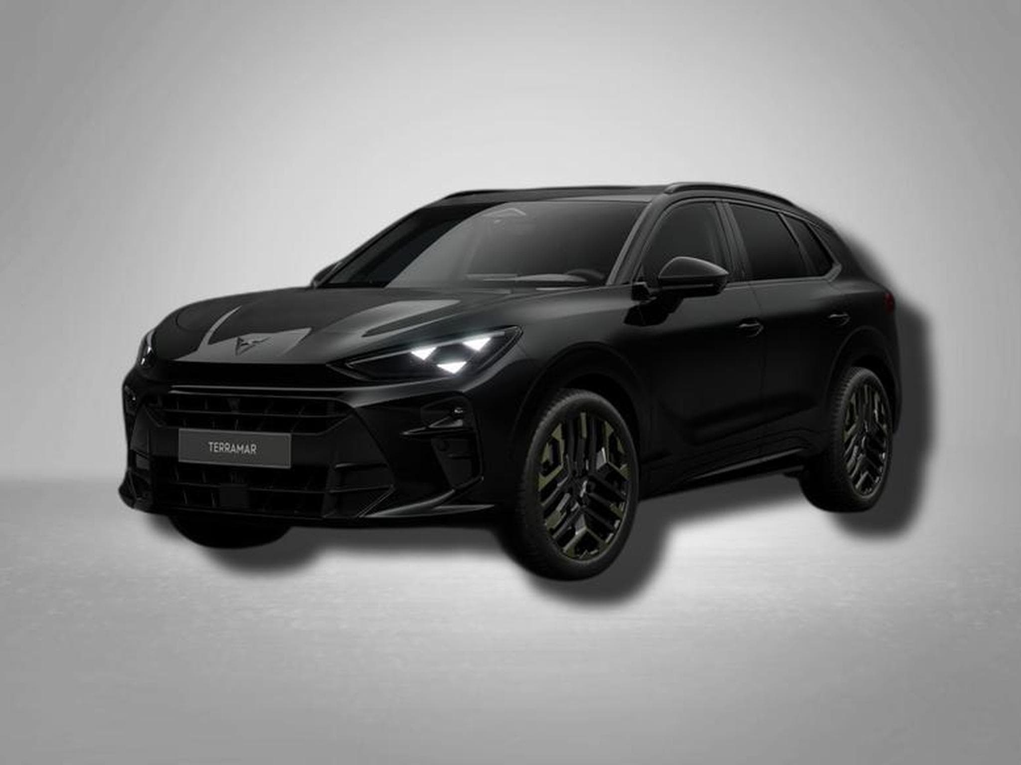 Cupra Terramar VZ Tribe Edition 2.0 TSI 7-Gang-DSG 4Drive (2026) - Foto 1