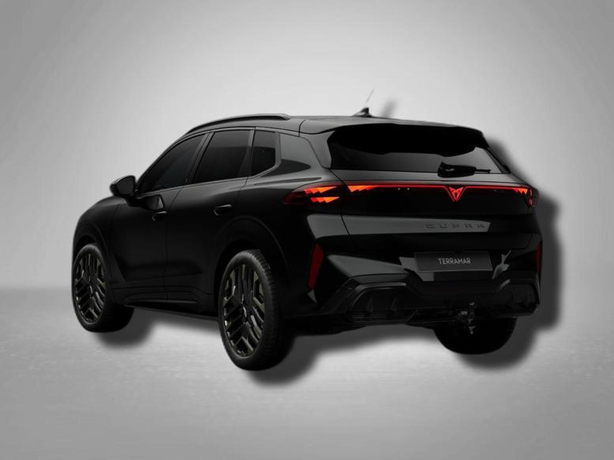 Cupra Terramar VZ Tribe Edition 2.0 TSI 7-Gang-DSG 4Drive (2026) - Foto 3