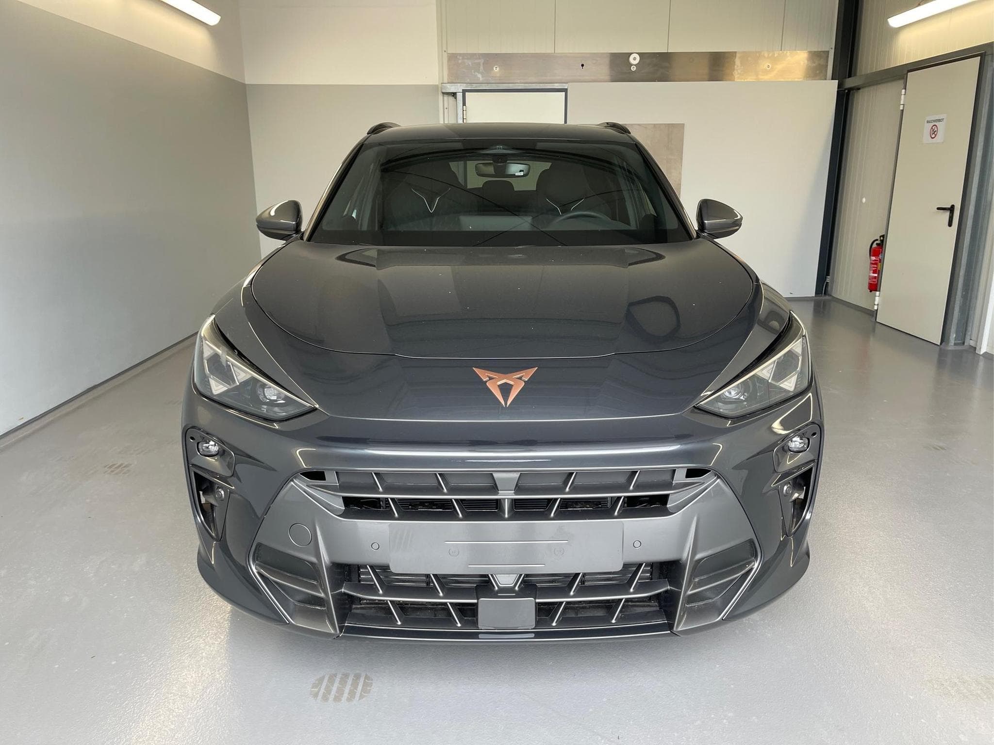 Cupra Terramar Terramar (2026) - Foto 2