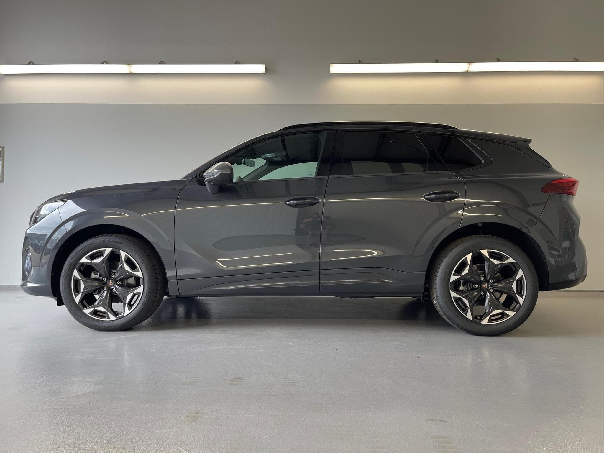 Cupra Terramar Terramar (2026) - Foto 3